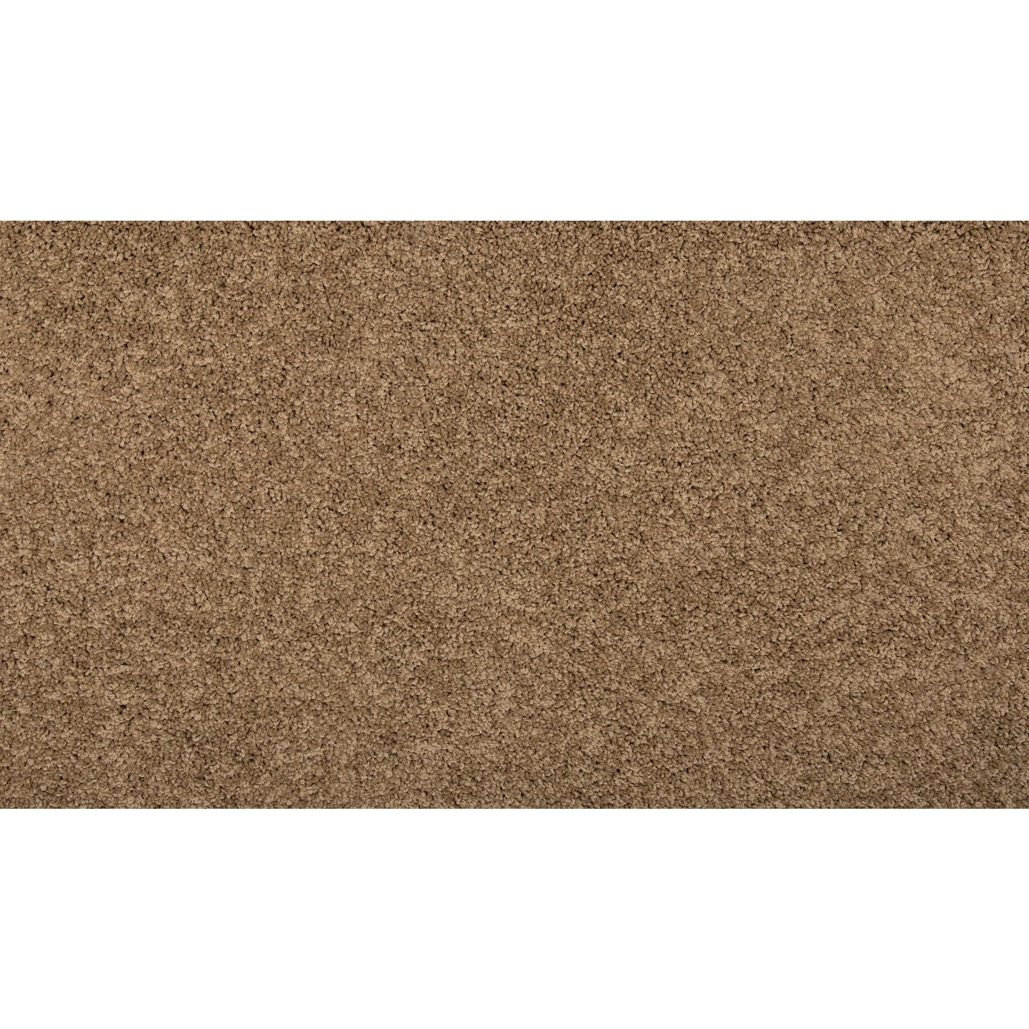 STAINMASTER SS014-15-L003 Memorable Touch II Capon Brown 50-oz sq yard Solution-dyed polyester Textured Indoor Carpet