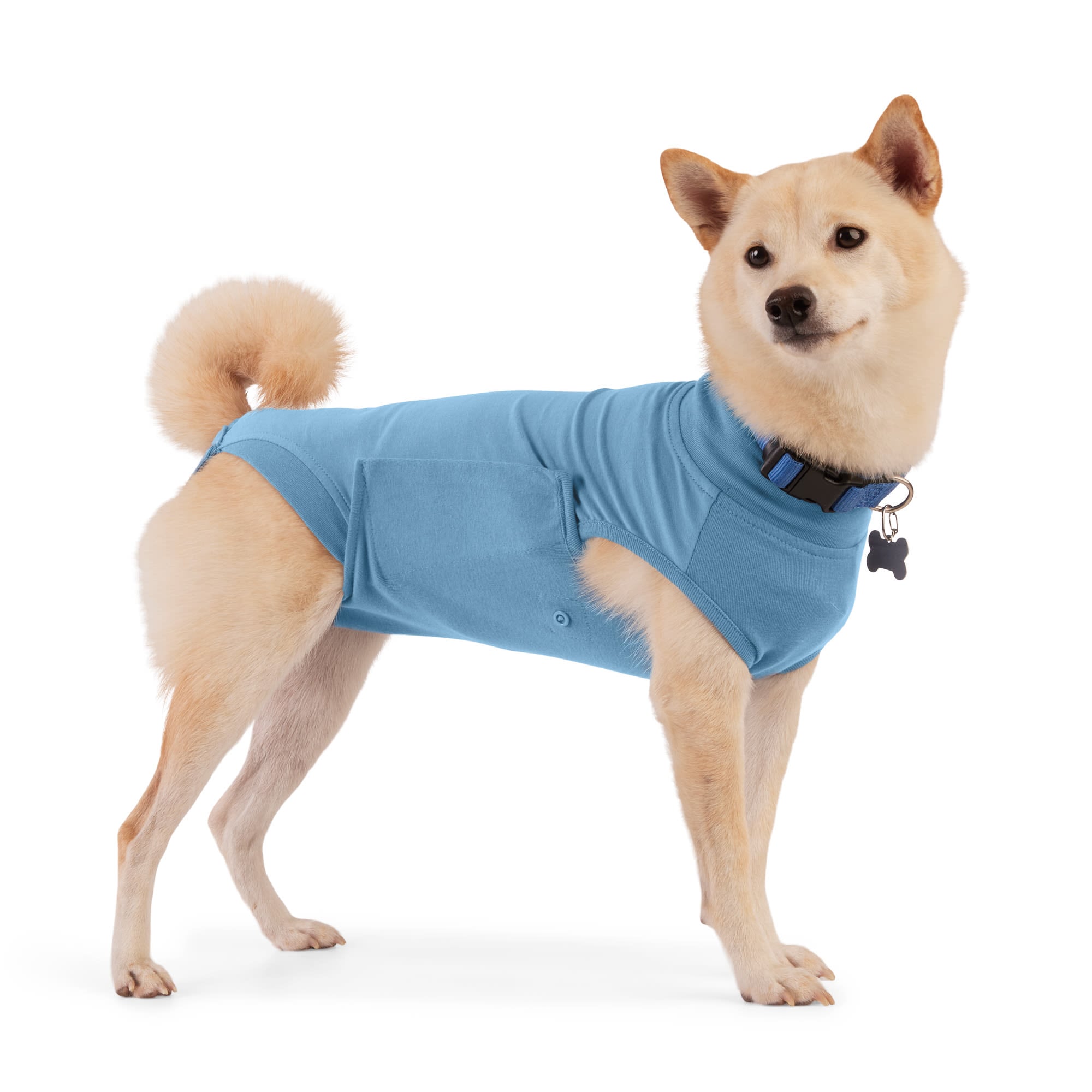 Well & Good PTY-T230517S/M Well and Good Recovery Suit for Dogs Small/Medium
