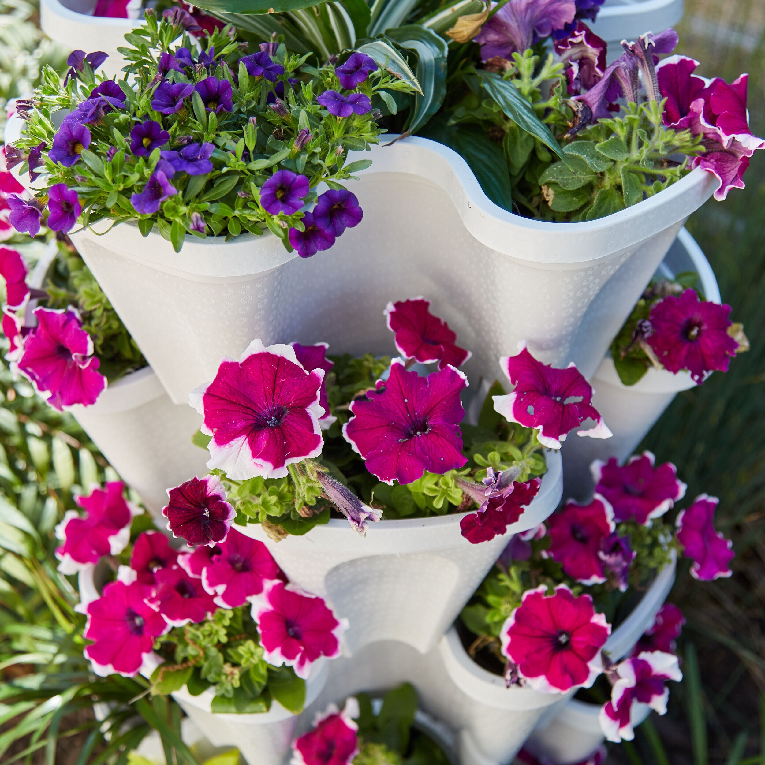 Mr. Stacky 1805 ST Planter-Window-Box - View #6