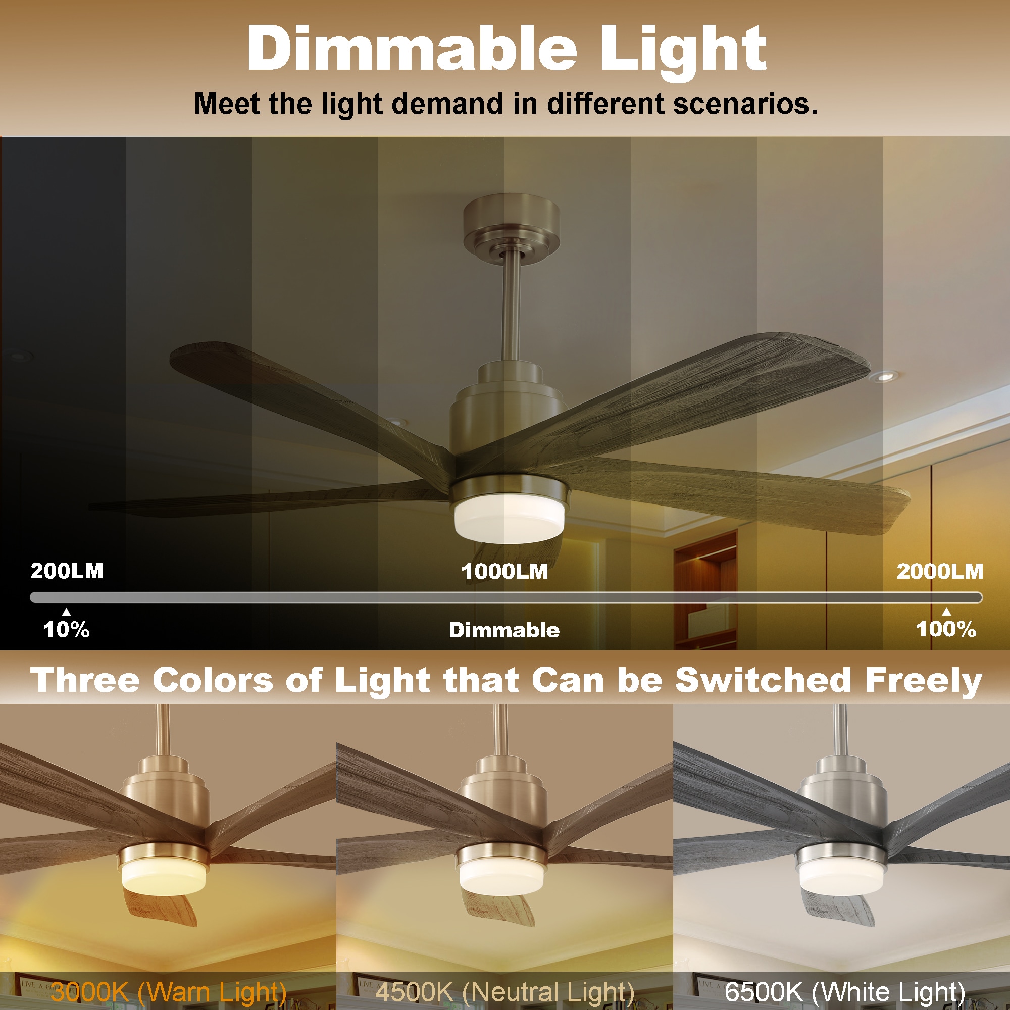 Sunrinx MG12-CF-1 Ceiling-Fans - View #9
