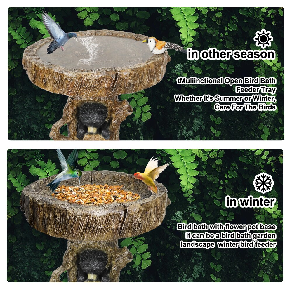 Watnature YDS81001 birdbaths - View #5