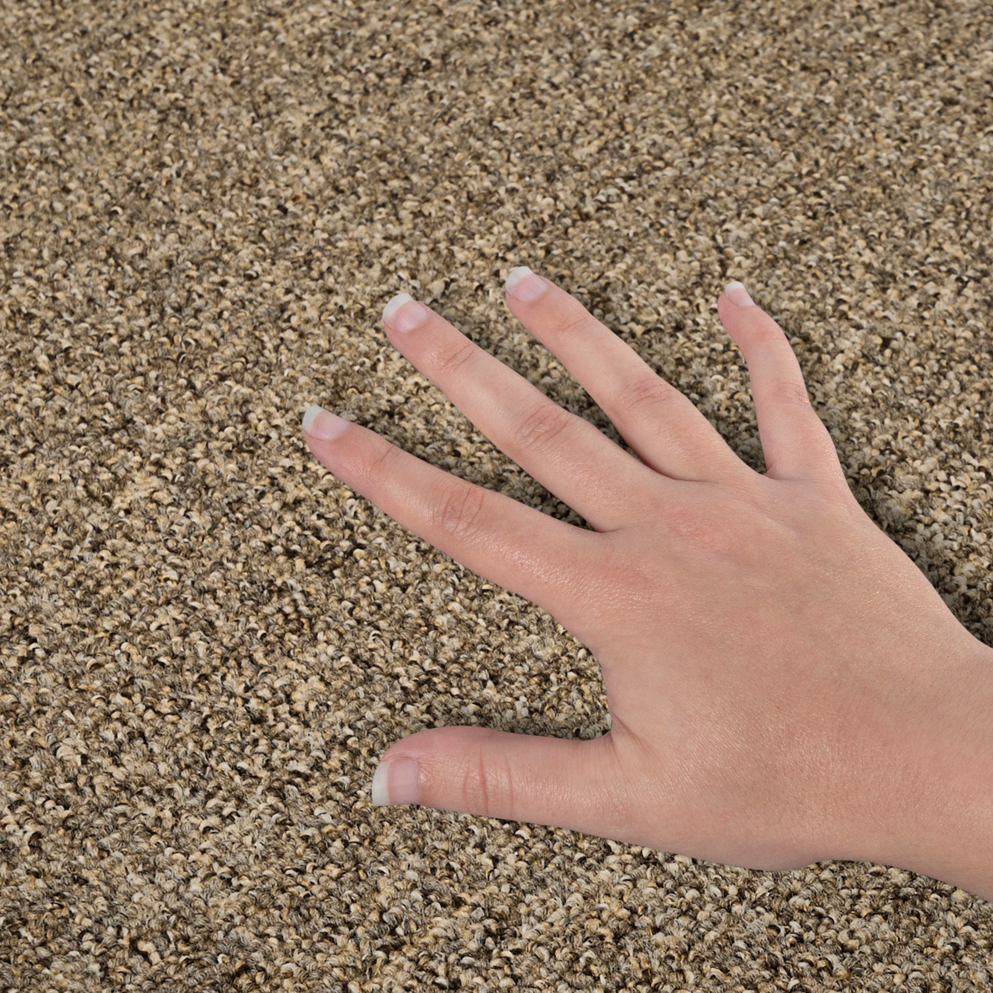 Mohawk LC76-L003-0808 Carpet-Samples - View #4