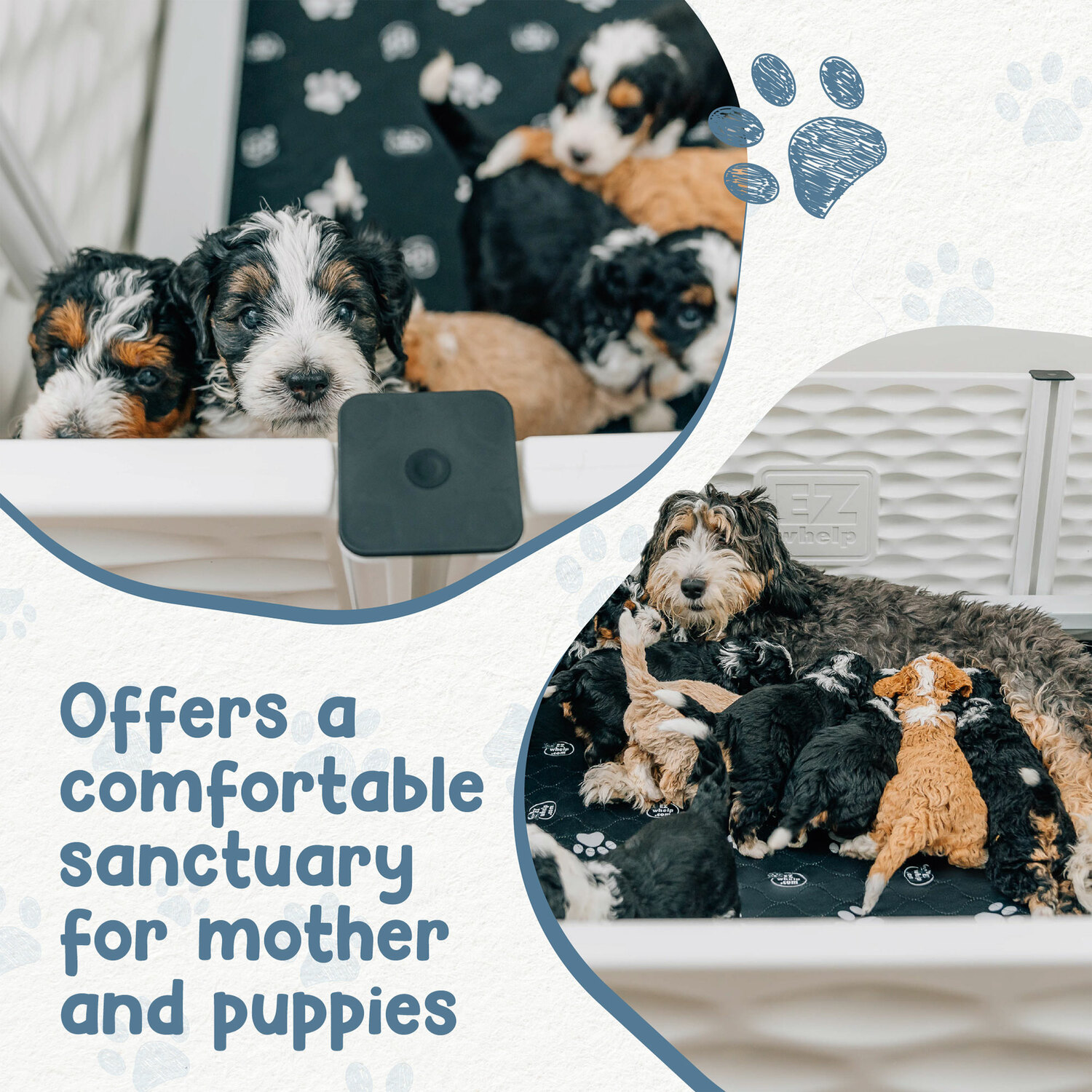 EZwhelp 318558 Pet-Crates-Carriers - View #3