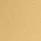 Vibrant Brushed Modern Brass