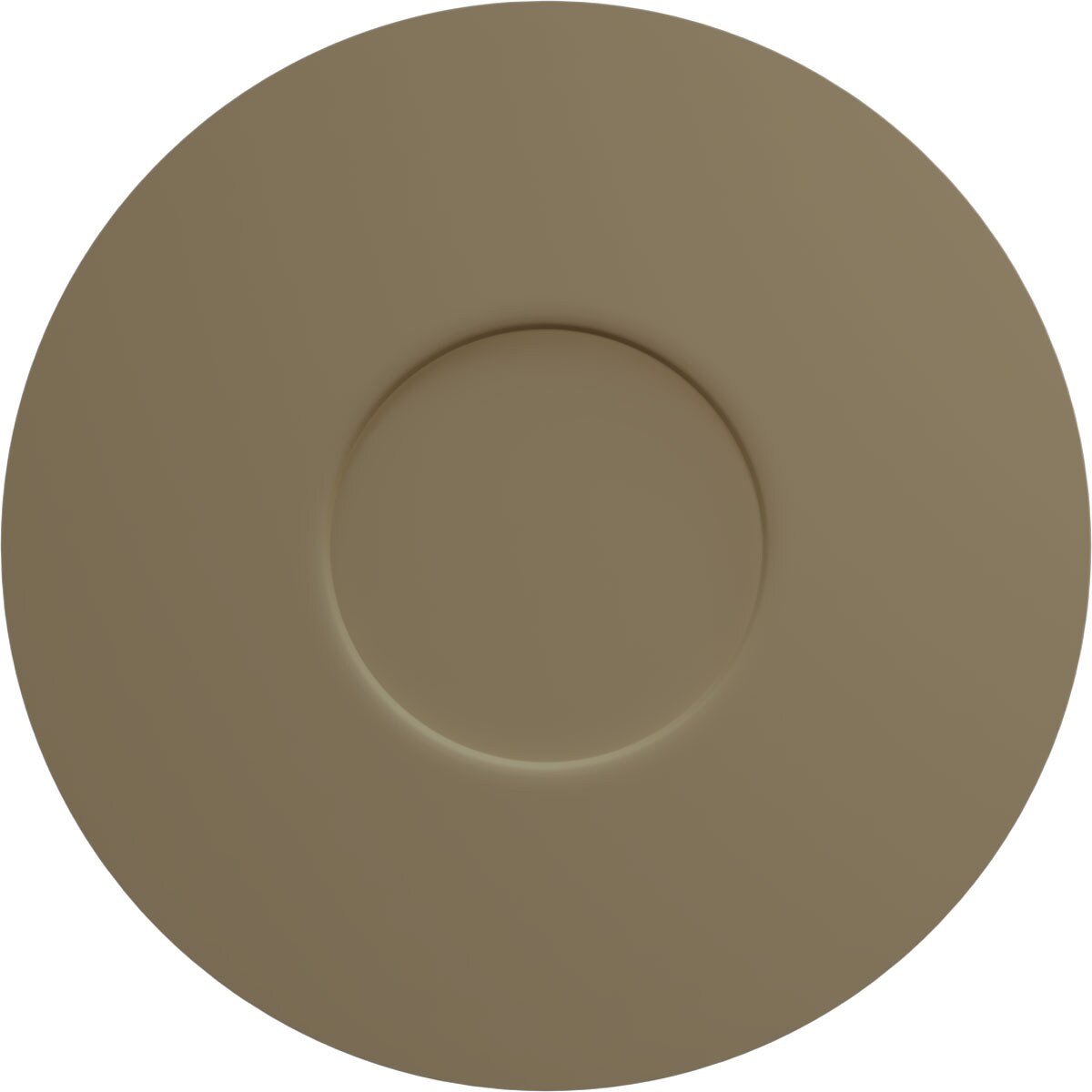 Ekena Millwork CM11PAFIF Ceiling-Medallions - View #4