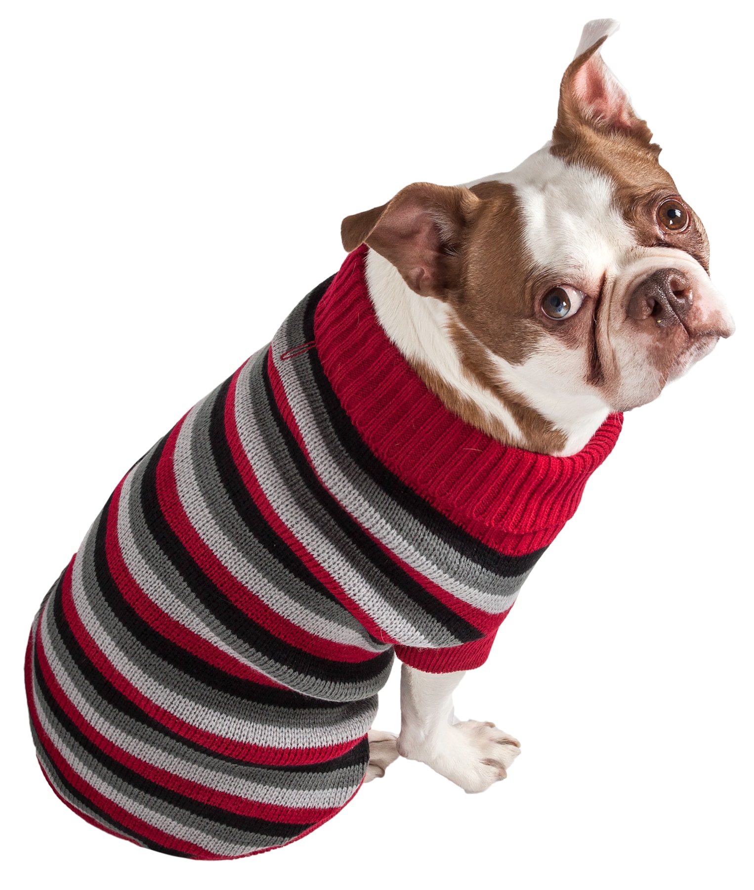 Pet Life SW6RBKMD Dog-Apparel - View #3