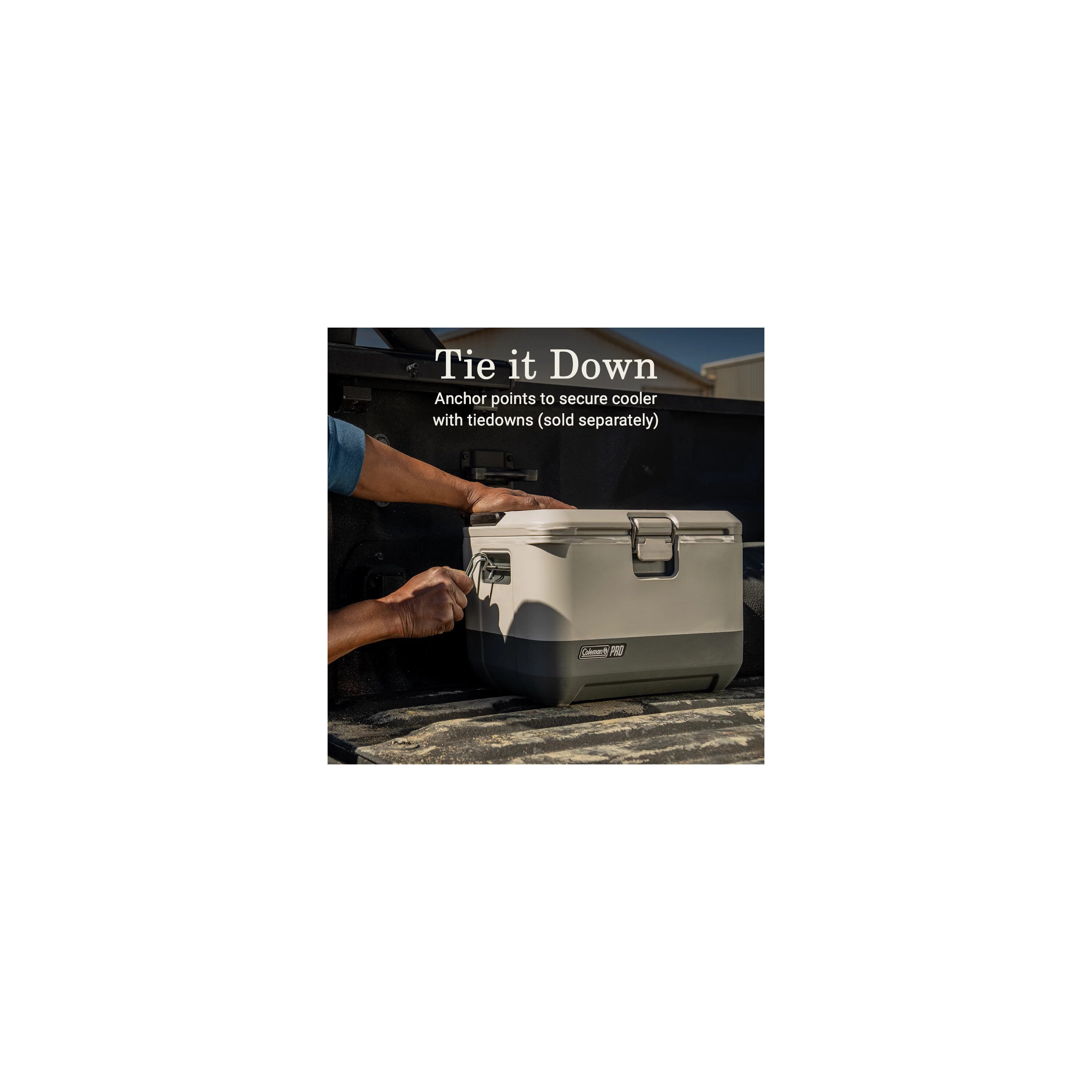 Coleman 2193563 Portable-Coolers - View #5