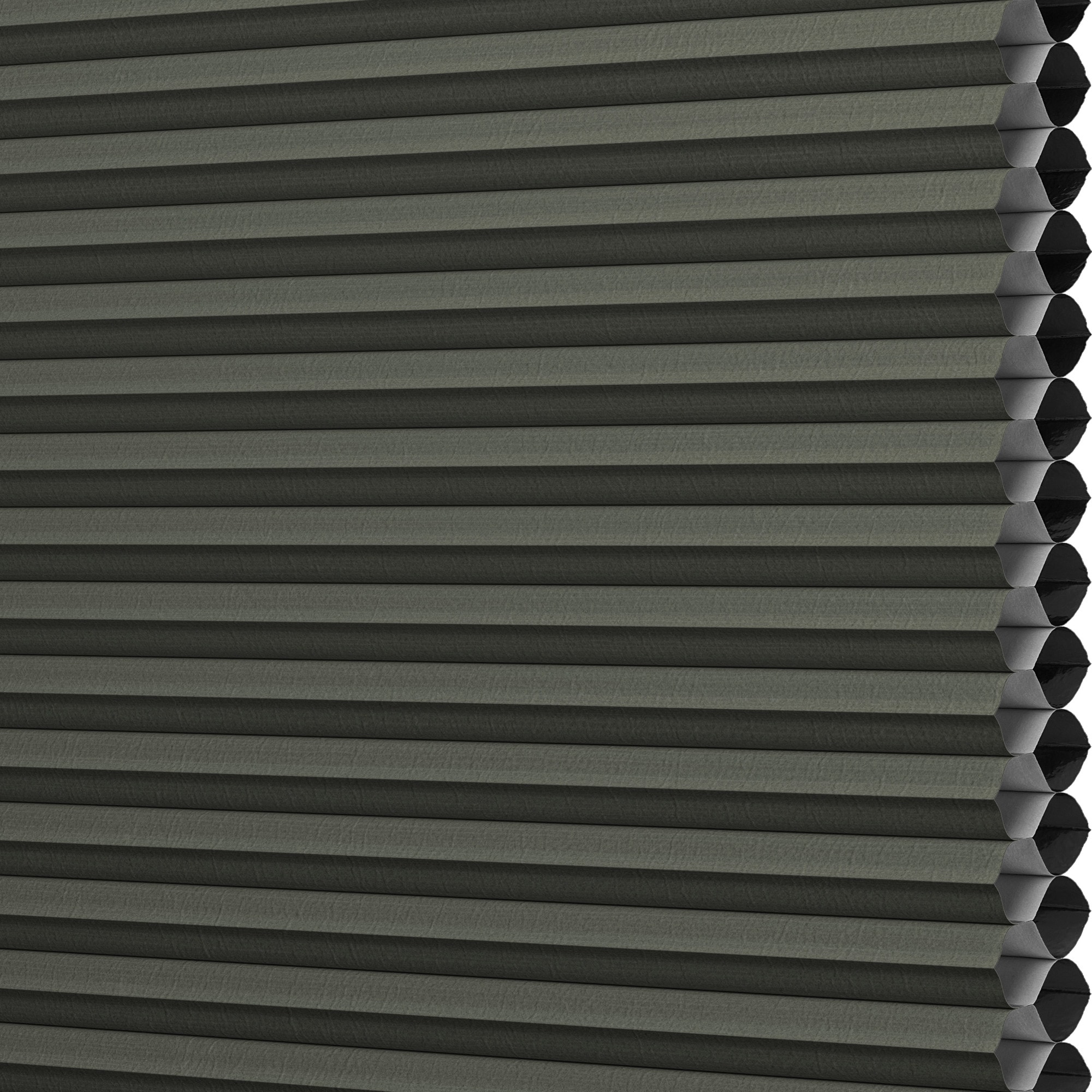 LEVOLOR 511455 Designer Colors Raven Blackout Polycotton 1/2-in Double Designer Colors Cellular shade swatch