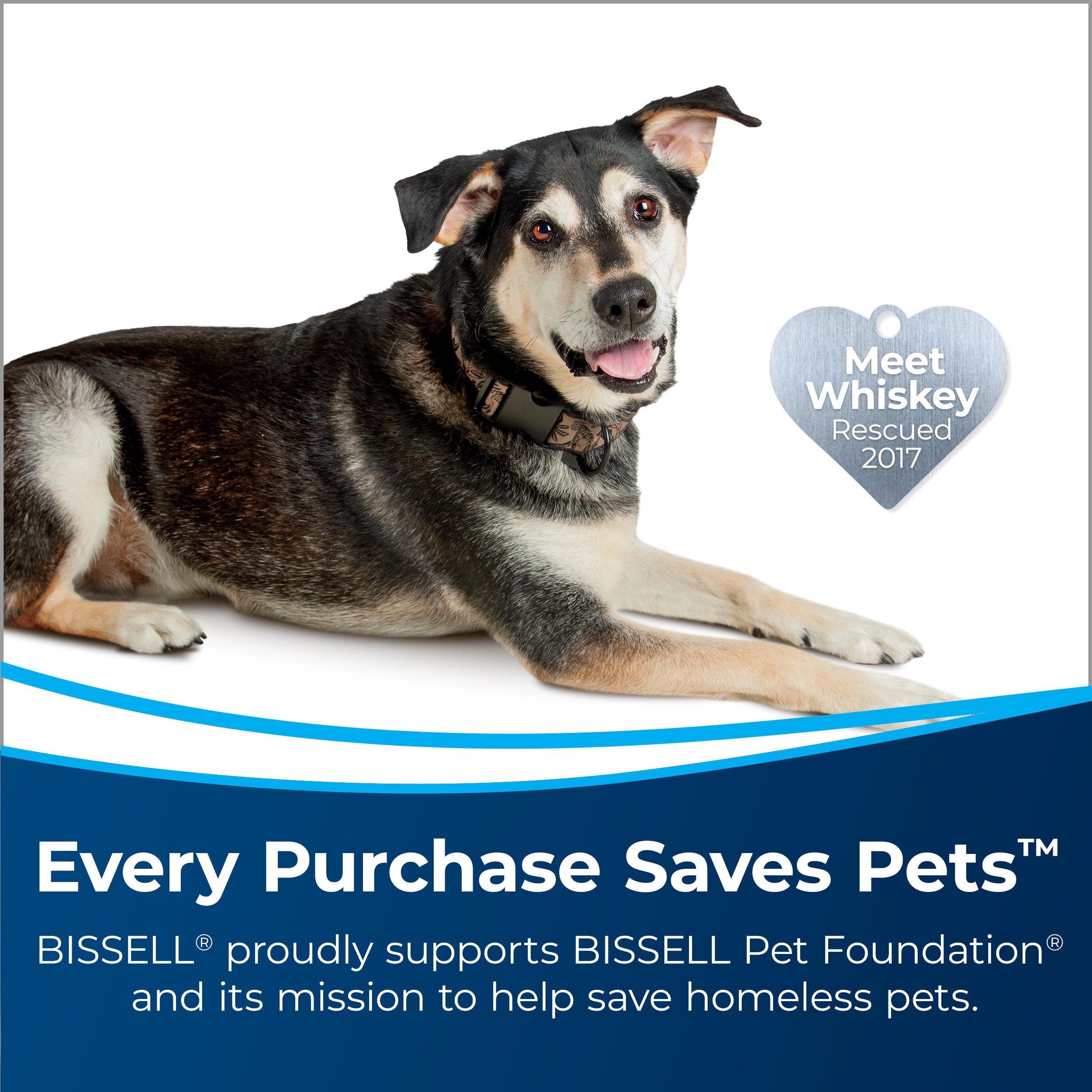 Bissel TurboClean Pet Carpet Cleaner Only $49.99 Shipped on .com  (Regularly $113)