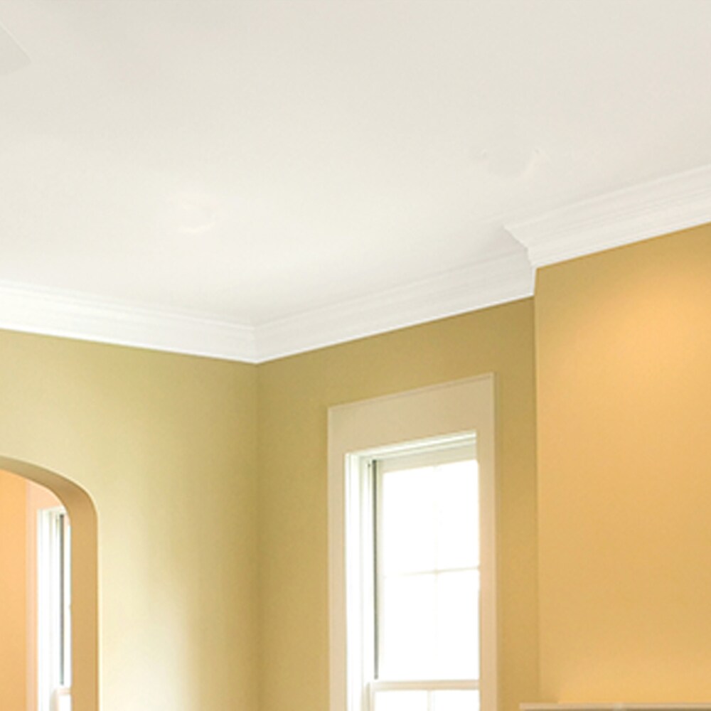 Zinsser Ceiling Flat Bright White Ceiling Paint and Primer (1-Gallon)