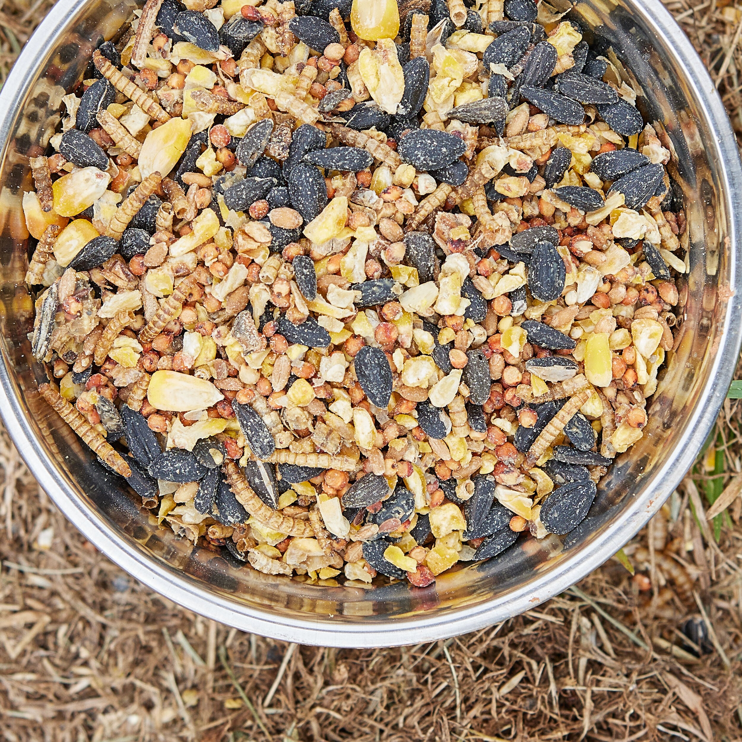 Pecking Order Bird Food 5-lb in the Bird & Wildlife Food department at ...