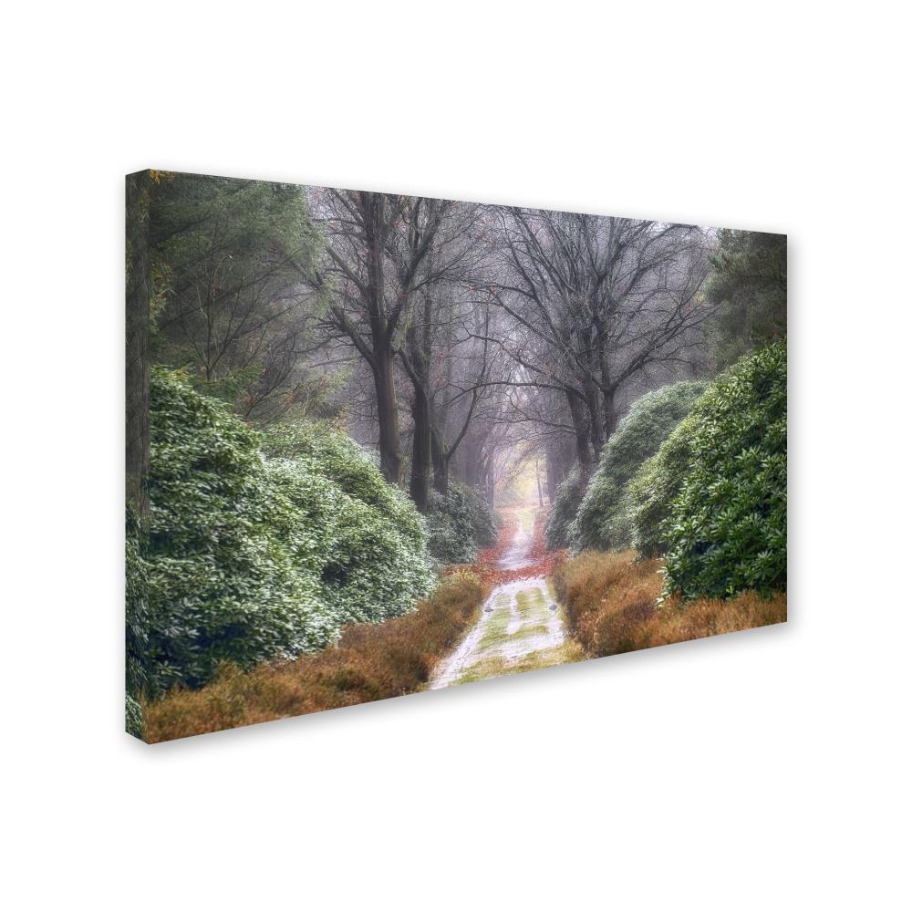 Trademark Fine Art ALI1836-C3047GG Wall-Art - View #2