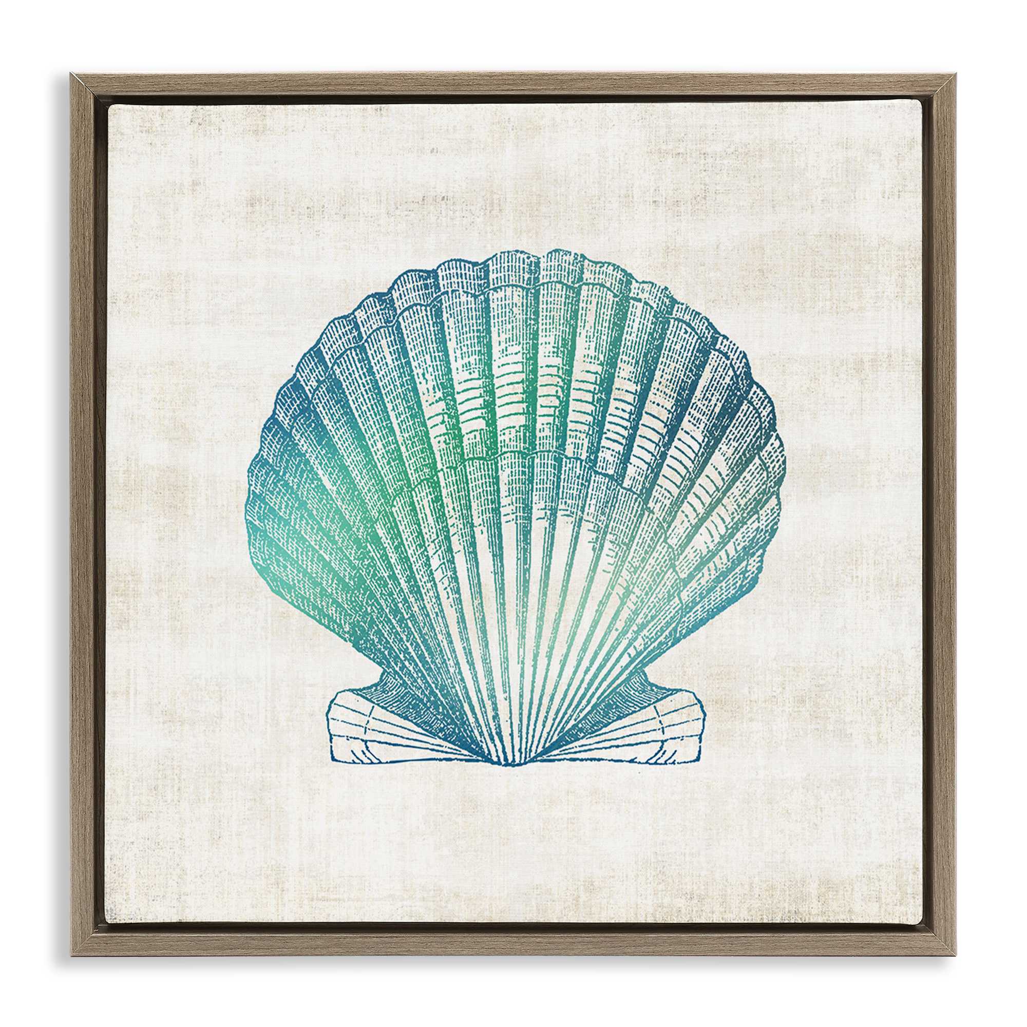 Stupell Industries BS-161-FFE-17X17 Gradient Clam Seashell Floating Frame design by Susan Arnot