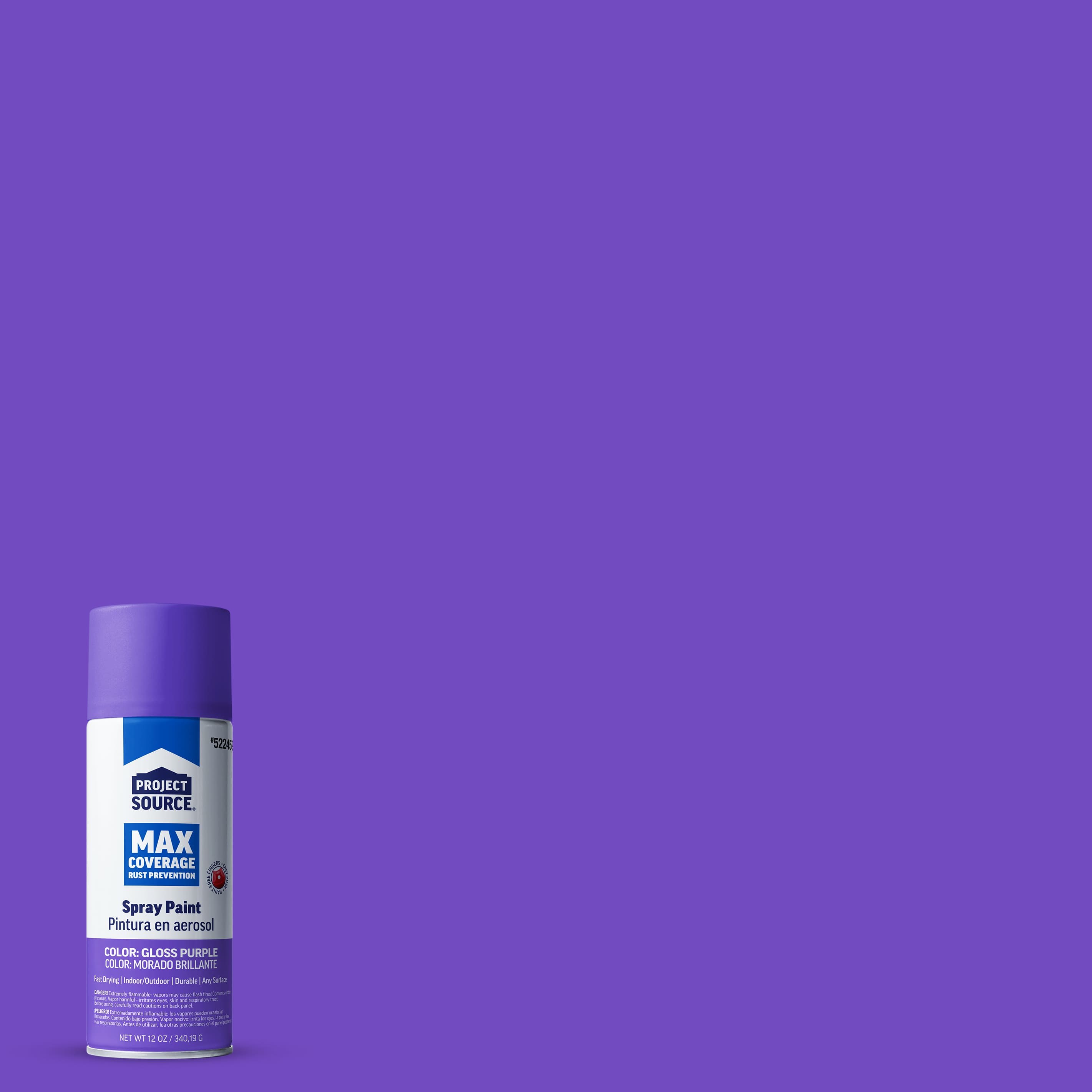Project Source Gloss Purple/Gloss Spray Paint (NET WT. 12-oz in