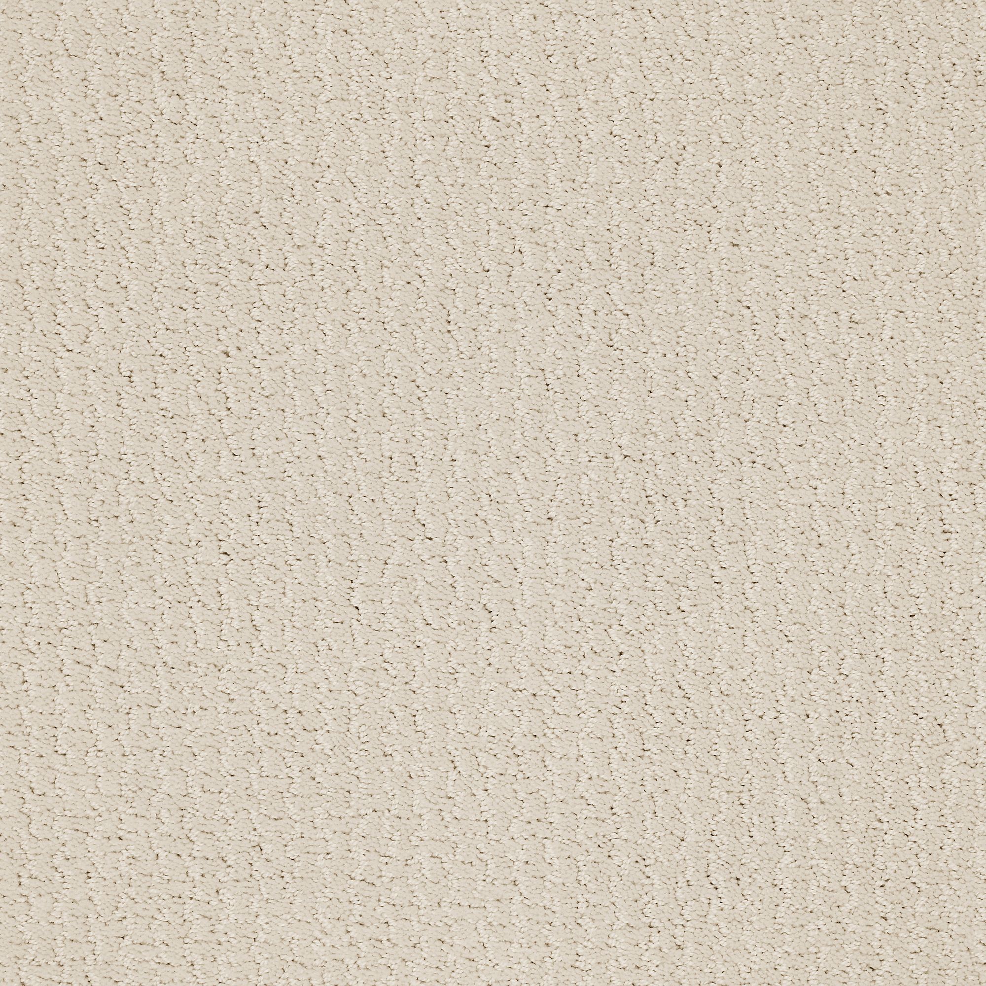 STAINMASTER PetProtect 7L85400143 Summer Nights Biscuit Off-white 39-oz sq yard Nylon Pattern Indoor Carpet