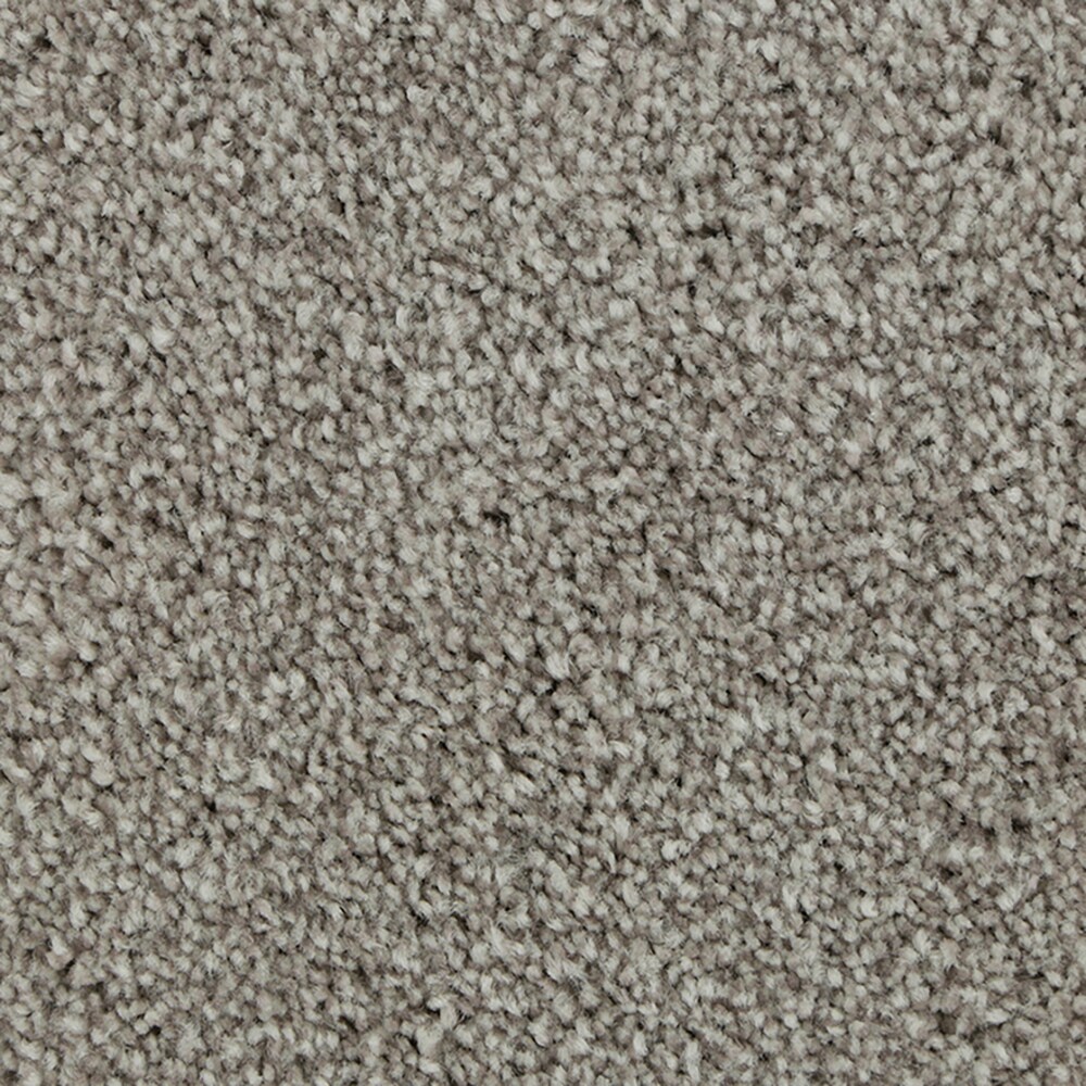 STAINMASTER STP50-L004-0808 (Sample) Calming Stride II Weathered Wood Gray 60-oz sq yard Triexta Textured Indoor Carpet