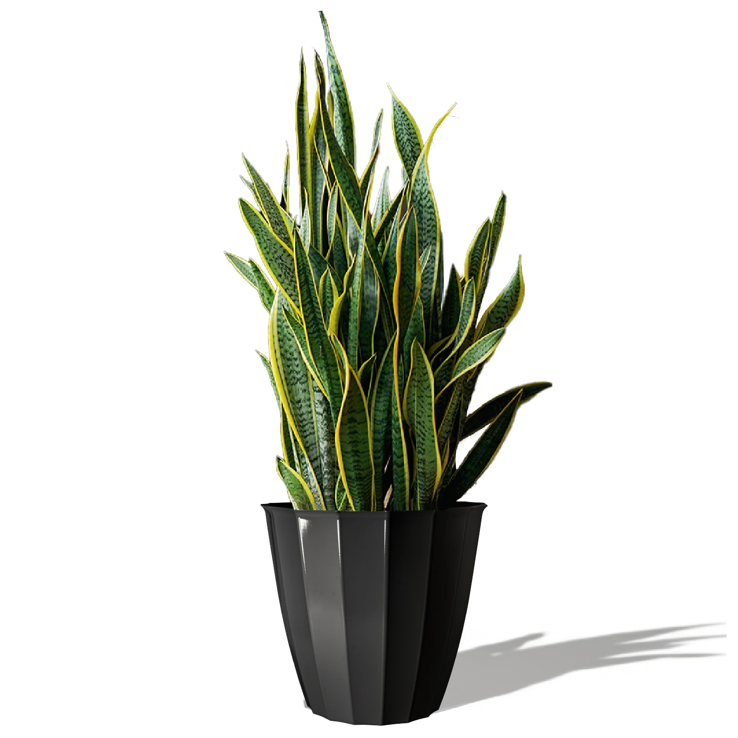 Style Selections DPX2345C Planter-Window-Box - View #2
