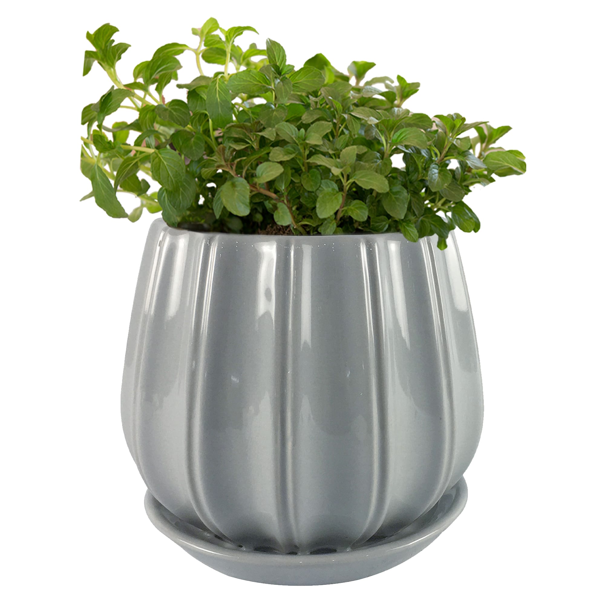 Trendspot LECR01137S-06H Planter-Window-Box - View #5