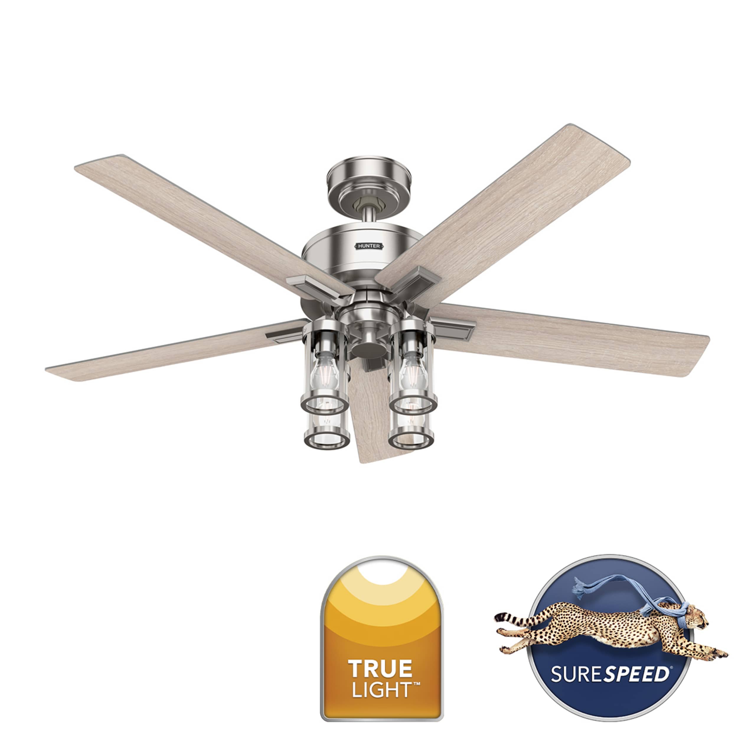 Hunter 52993 Ceiling-Fans - View #4