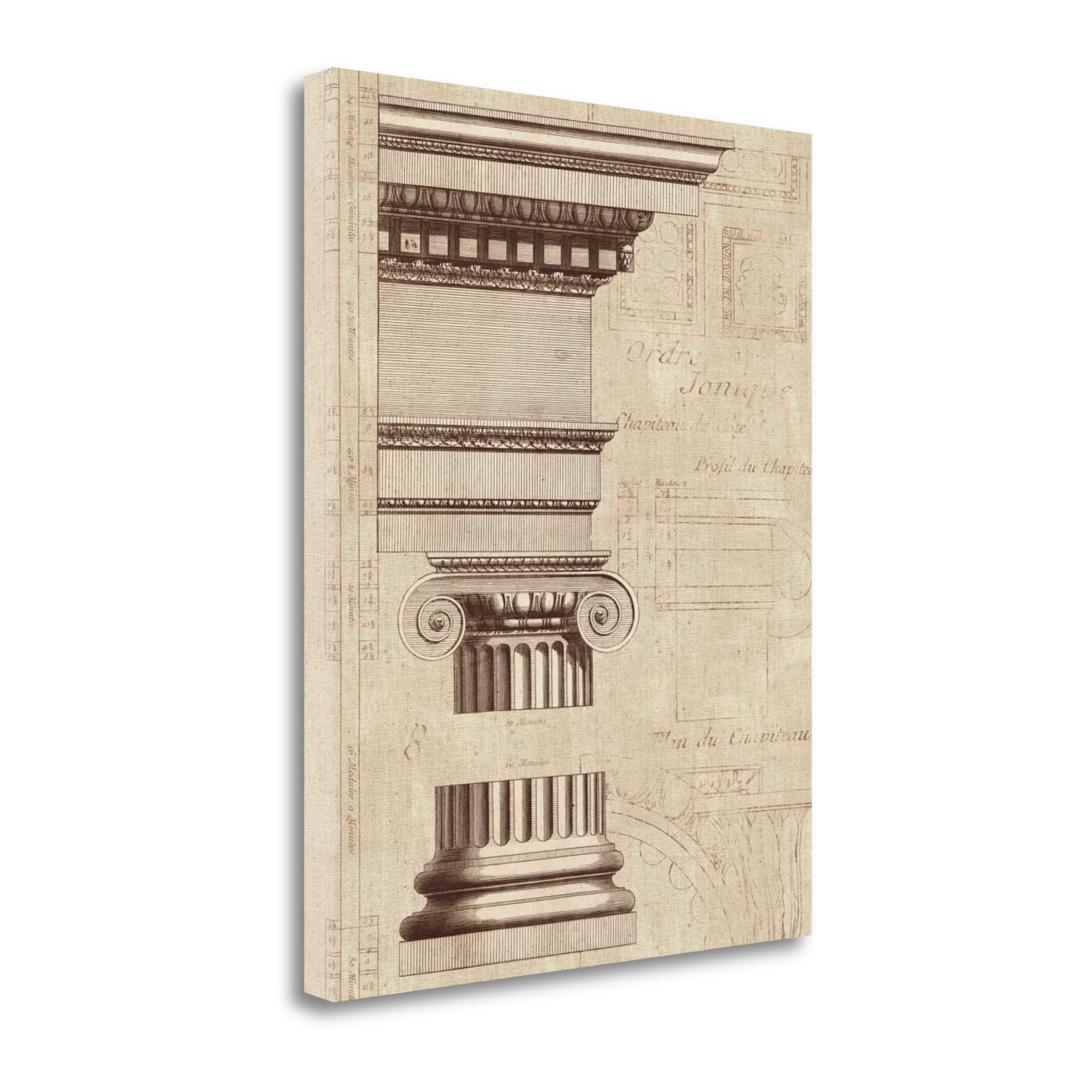 Tangletown Fine Art WA613408-2836C Architectural Rendering Ii Burlap Sepia Crop Wild Apple Gallery Wrap Canvas 36-in H x 28-in W Scrollwork Print on Canvas