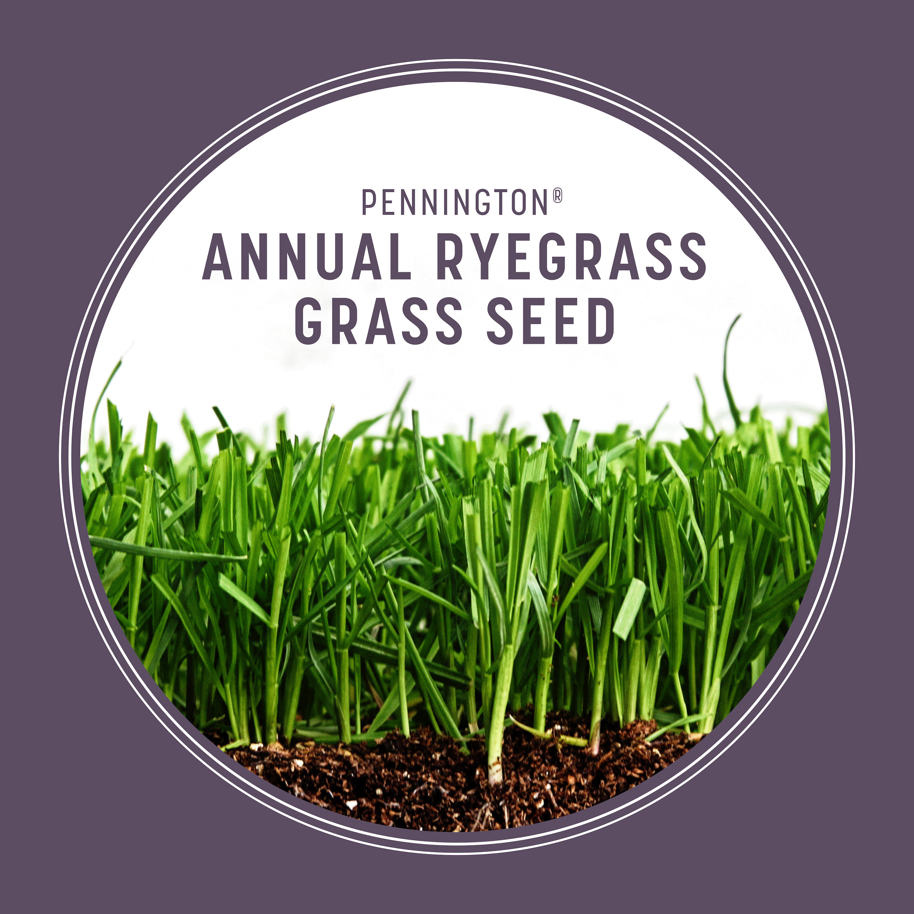 Pennington 50 Lbs Annual Ryegrass Grass Seed At