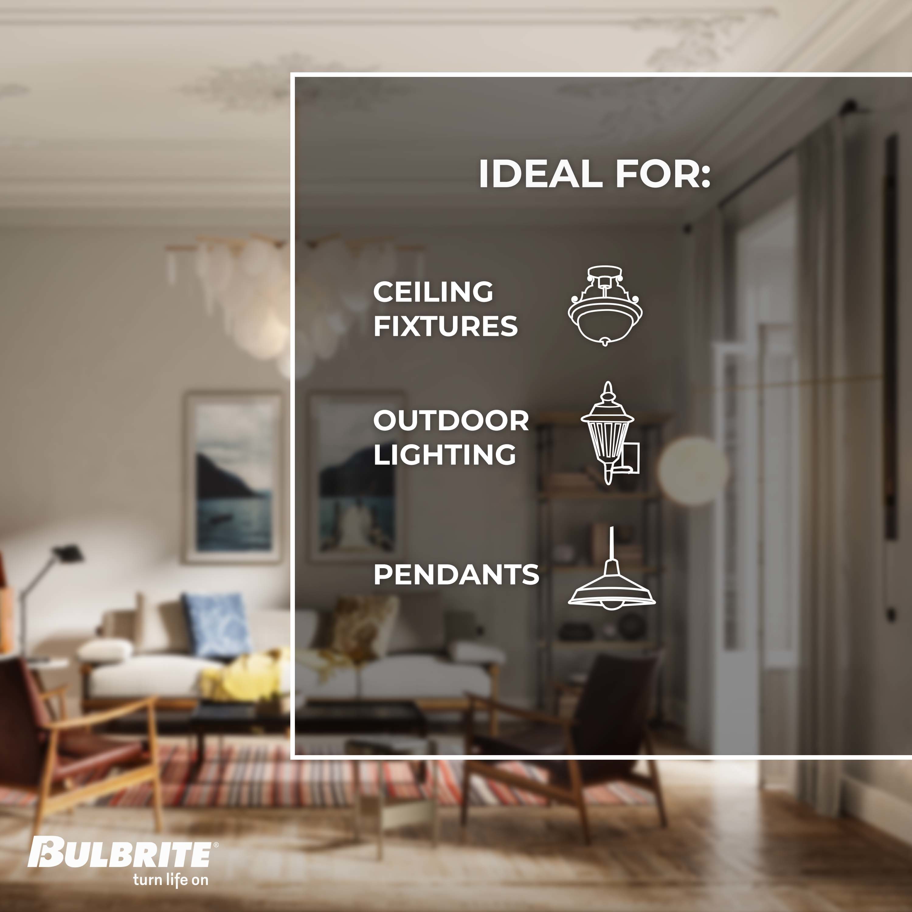 Bulbrite 137301 Dec-Led-Light-Bulbs - View #5