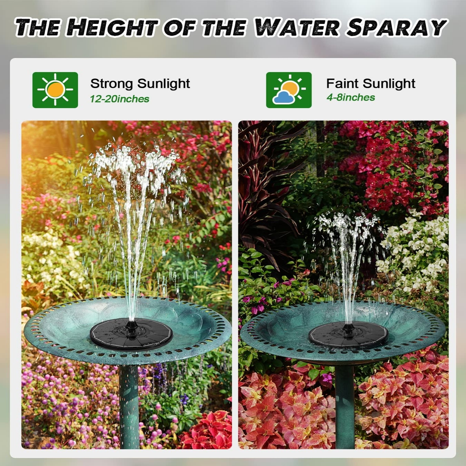 Numhew NHBEN34642 birdbaths - View #5