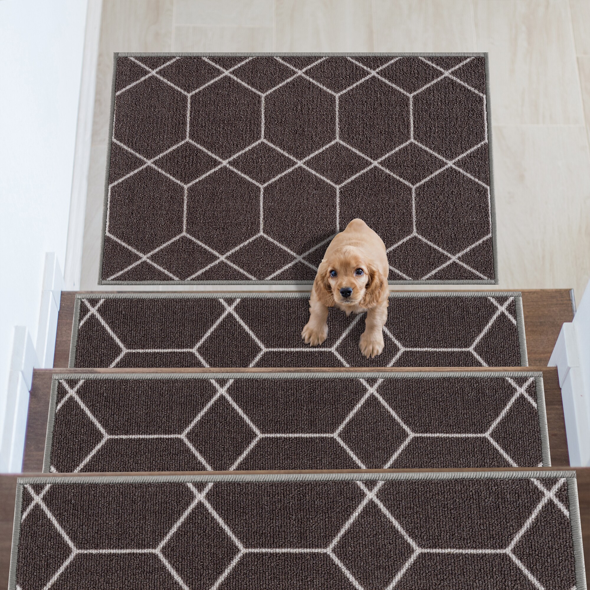 Playa Rug PLY-F-PRS-OW-5X7 rugs - View #5