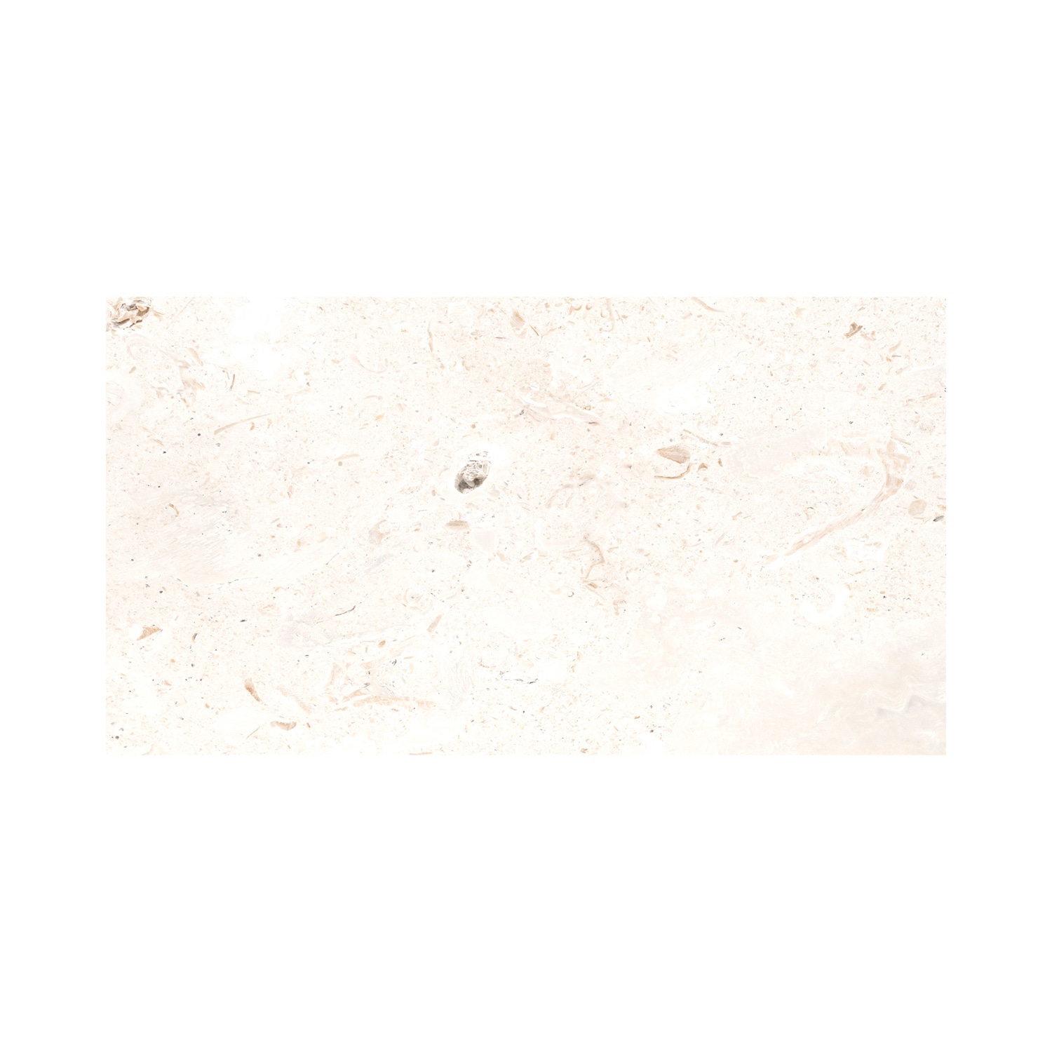 WonderLand LPAVLMAYWHI1224T-L 12-Inches L x 24-Inches W x 1.18-Inches H Rectangle Mayra White Natural stone Paver