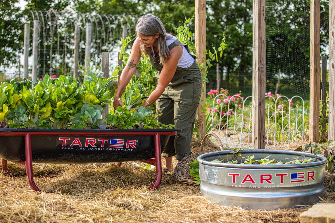 Tarter 5 ft Painted Galvanized Steel Cow Feeder in the Livestock