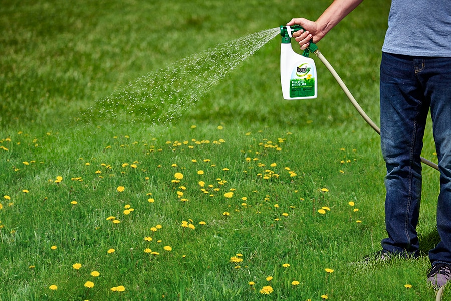 Roundup 5008872 Weed-Killers - View #5