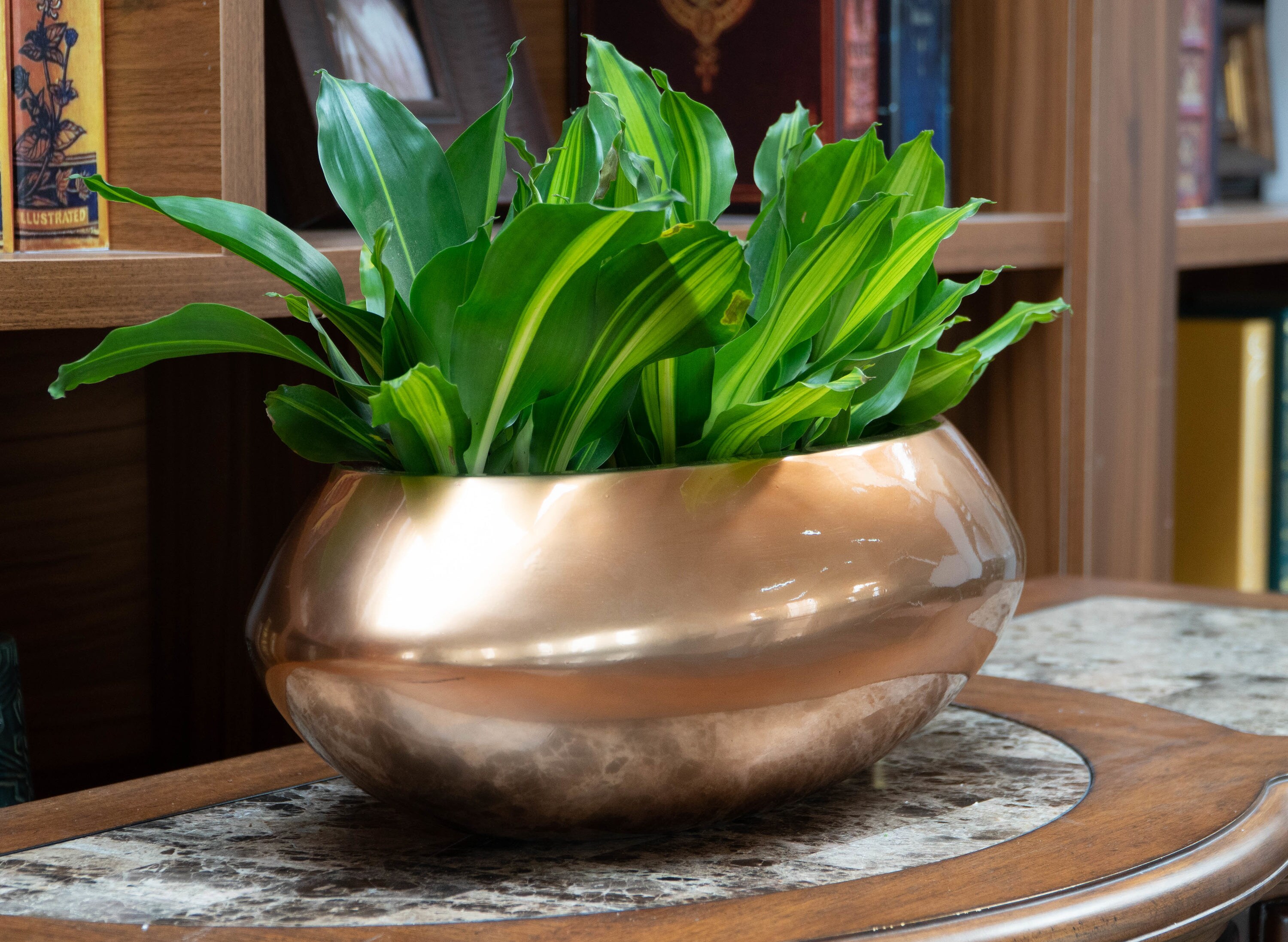 Vasesource SAFINA7SCO Planter-Window-Box - View #6