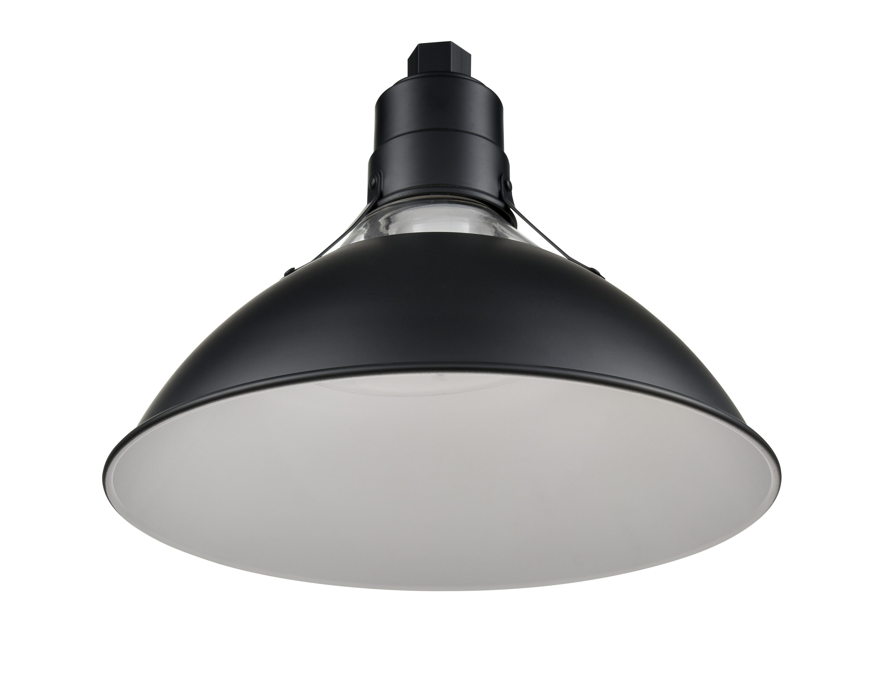 Millennium Lighting R Series 1 -Light Satin Black Industrial Clear glass Metal Dome Medium Outdoor Hanging Pendant Light