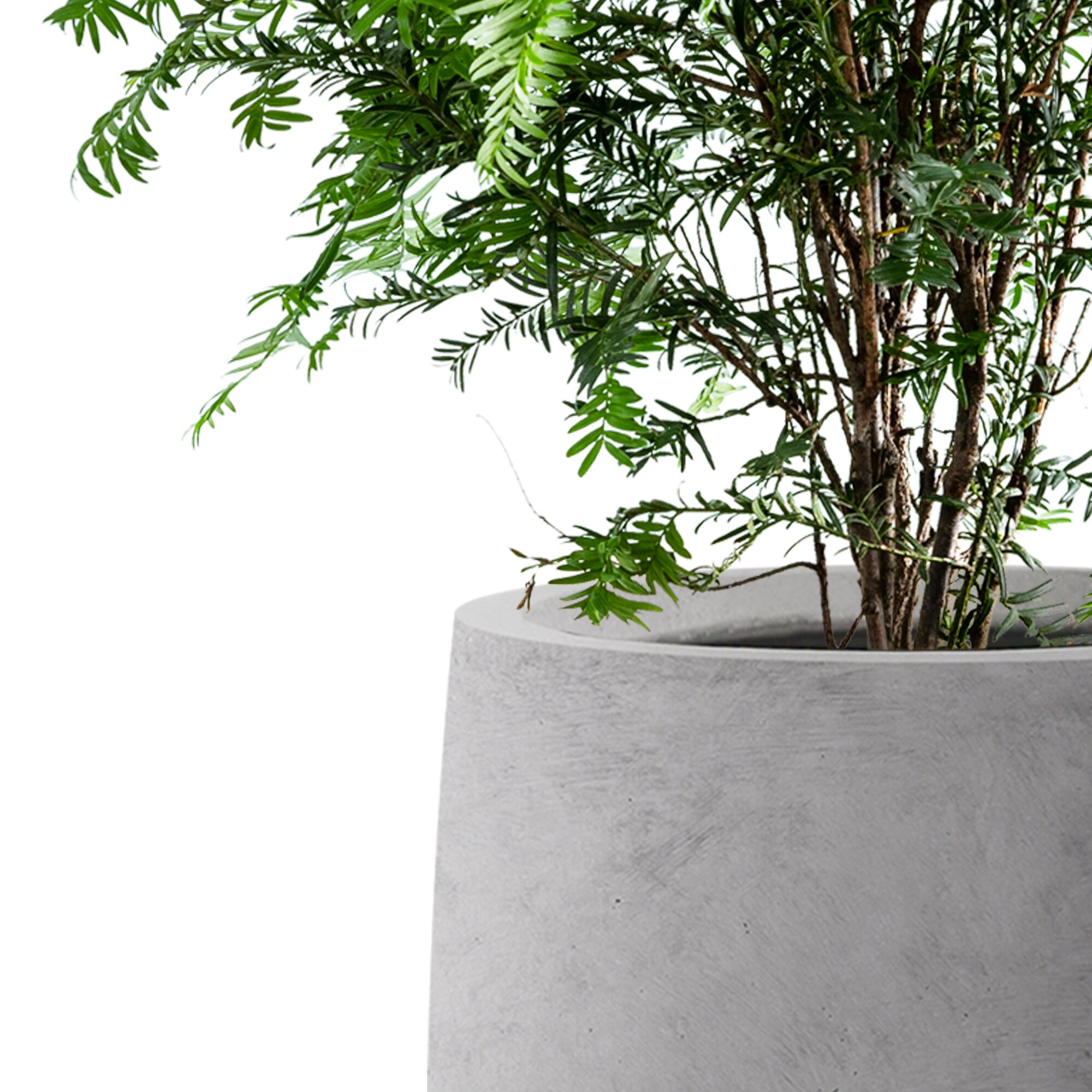 KANTE RMC0066A-C80021 Planter-Window-Box - View #3