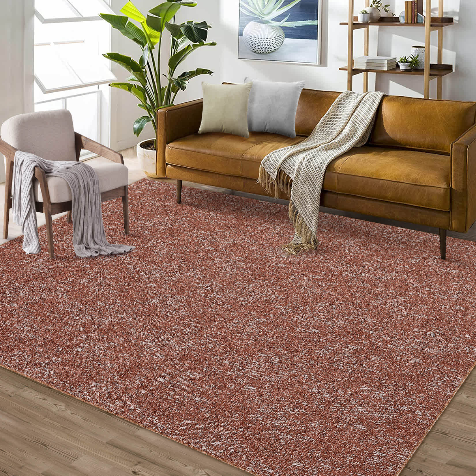 Qeetex LSN-PHO-104S8NY4 rugs - View #5