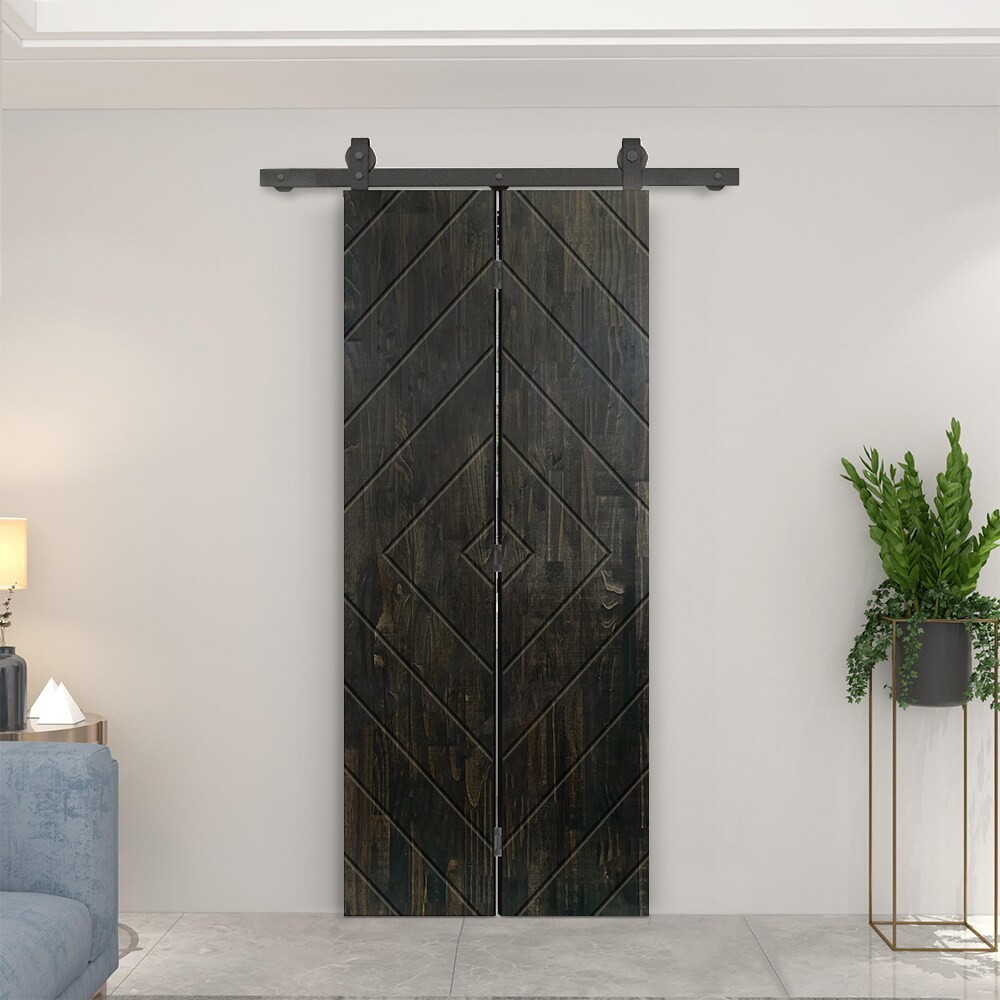 CALHOME 1100T+FJ02-80X20DT Barn-Doors - View #2