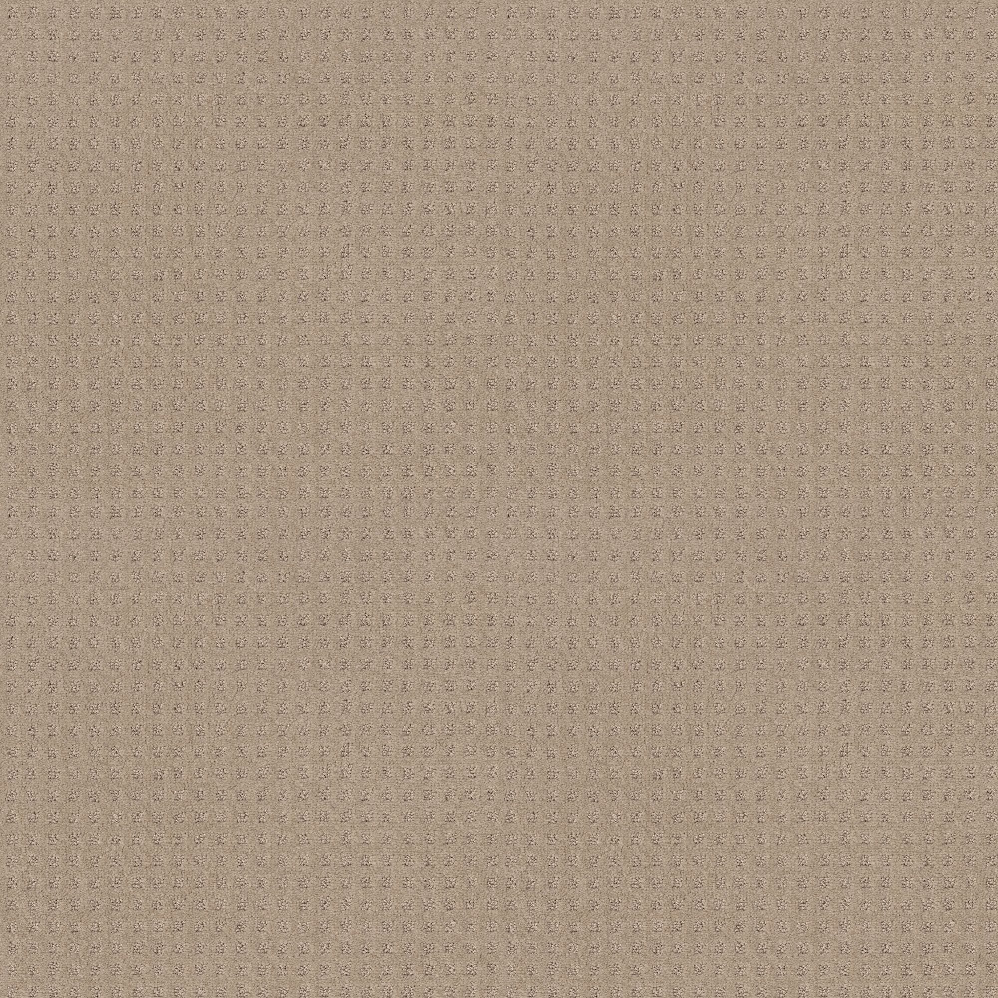 STAINMASTER PetProtect 7L898 - 152 - SAMP (Sample) Friends Furrever Dune Brown 29.3-oz sq yard Nylon Pattern Indoor Carpet
