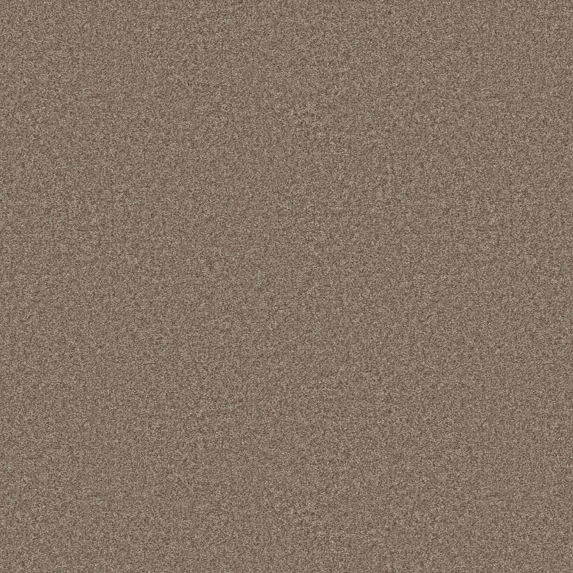 STAINMASTER Effortless Appeal II Cameo Brown 58.5-oz sq yard Polyester ...