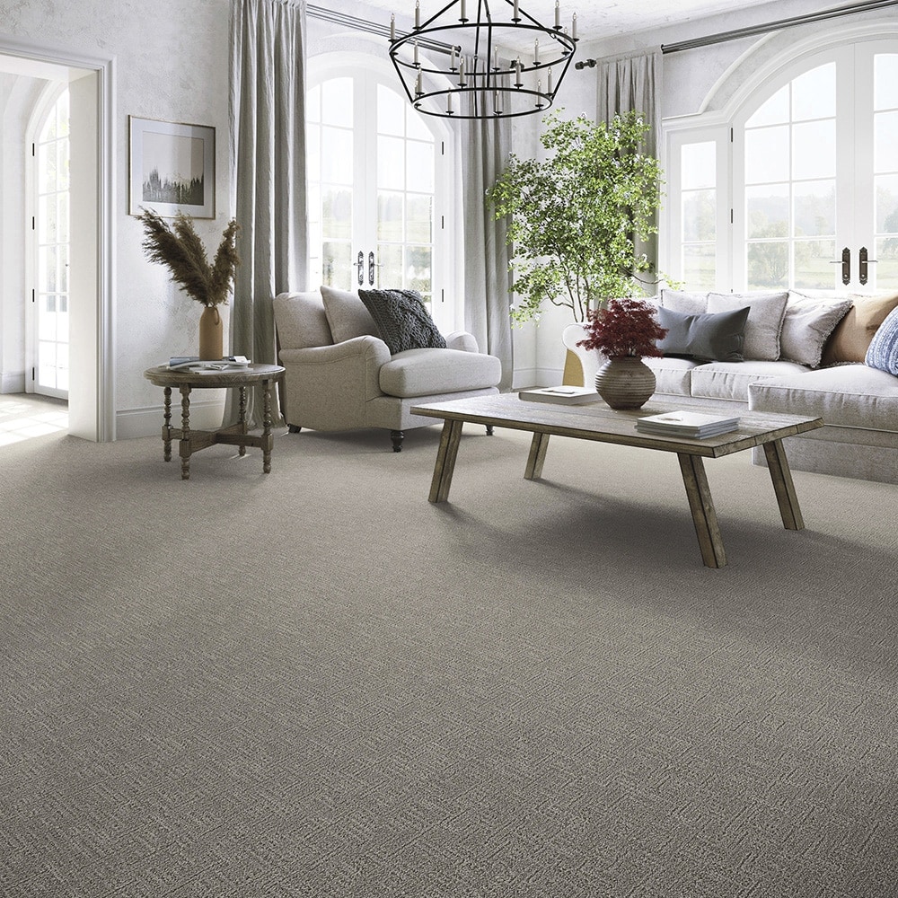 STAINMASTER LW187-L010-0808 Carpet-Samples - View #3
