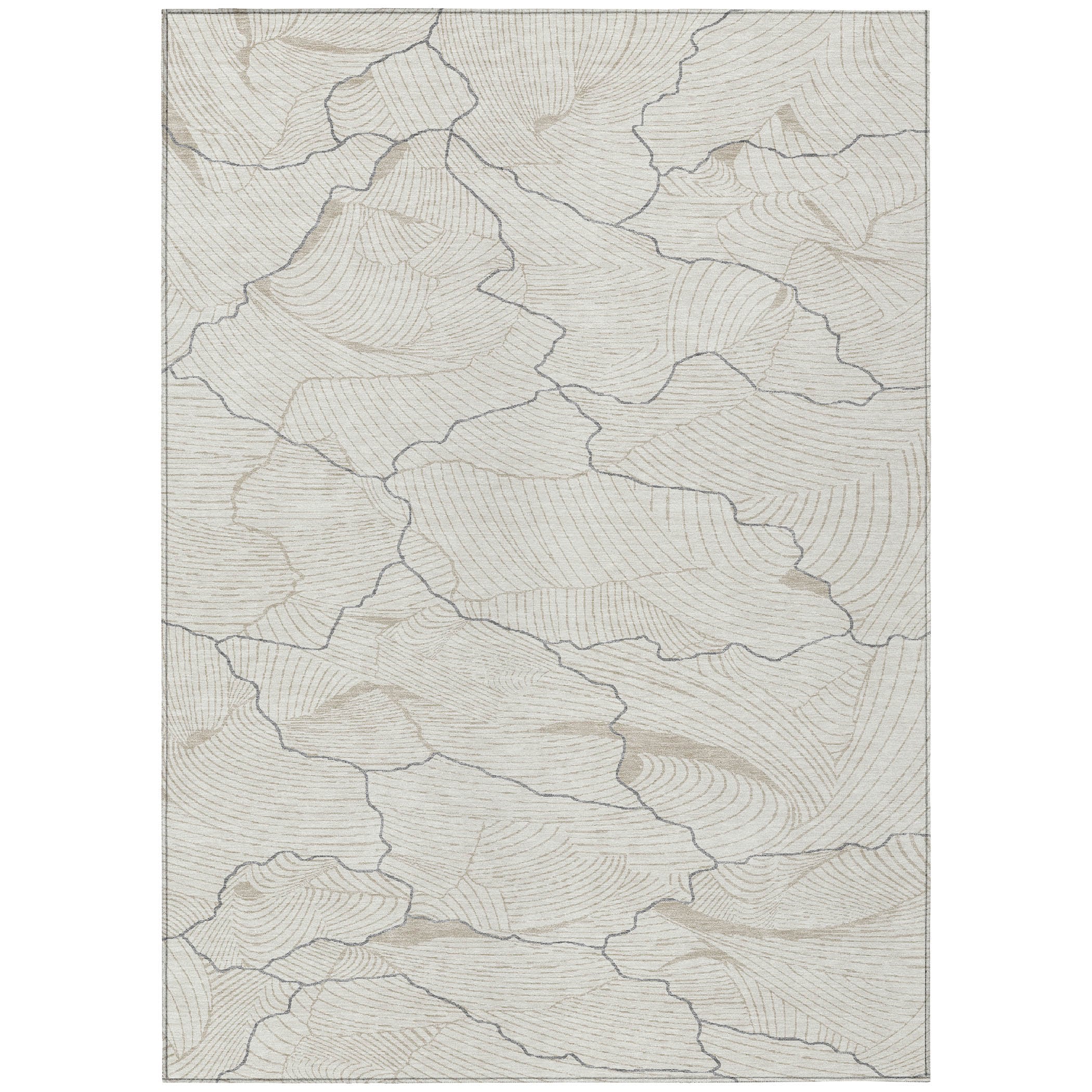 Addison Rugs ACN1048IV9X12 rugs - View #2