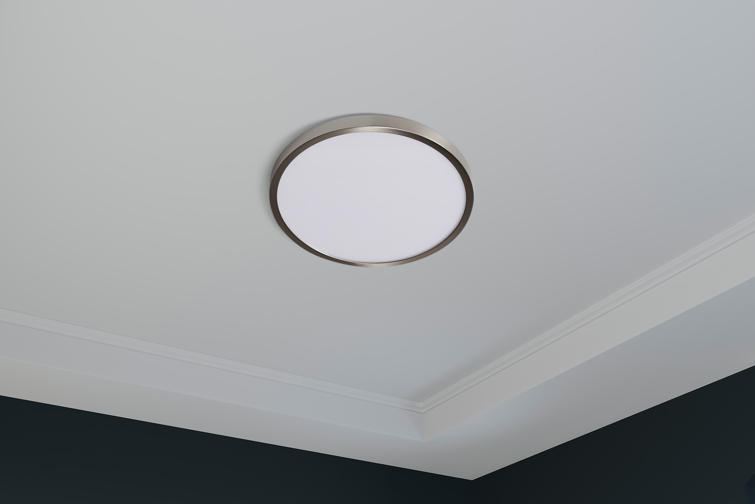 project source flushmount ceiling fixture 1448572