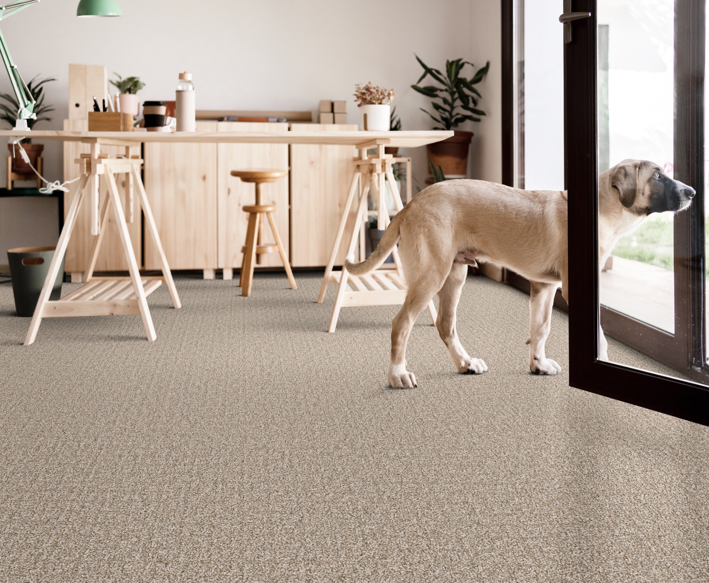 STAINMASTER PetProtect 7L93200119 Carpet-Panel - View #6