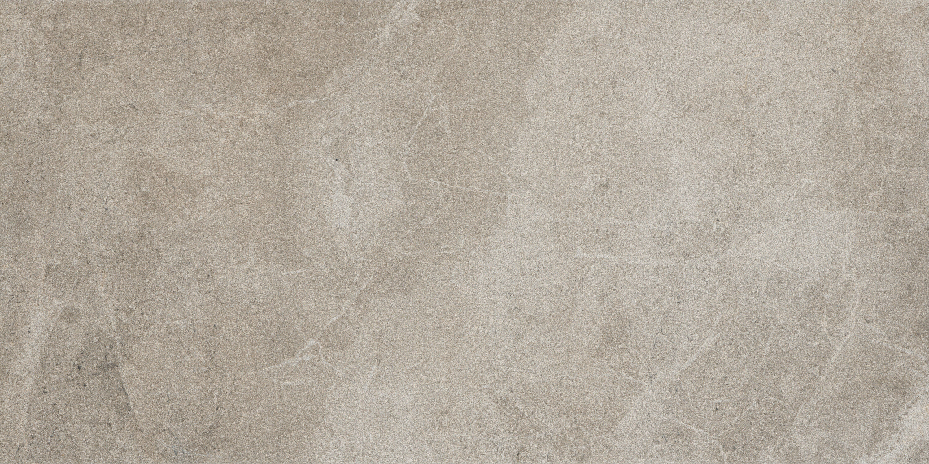 Emser F02REALNA1224 Realm Li Nation 12-in x 24-in Matte Porcelain Stone Look Tile (11.628-sq. ft/ Carton)