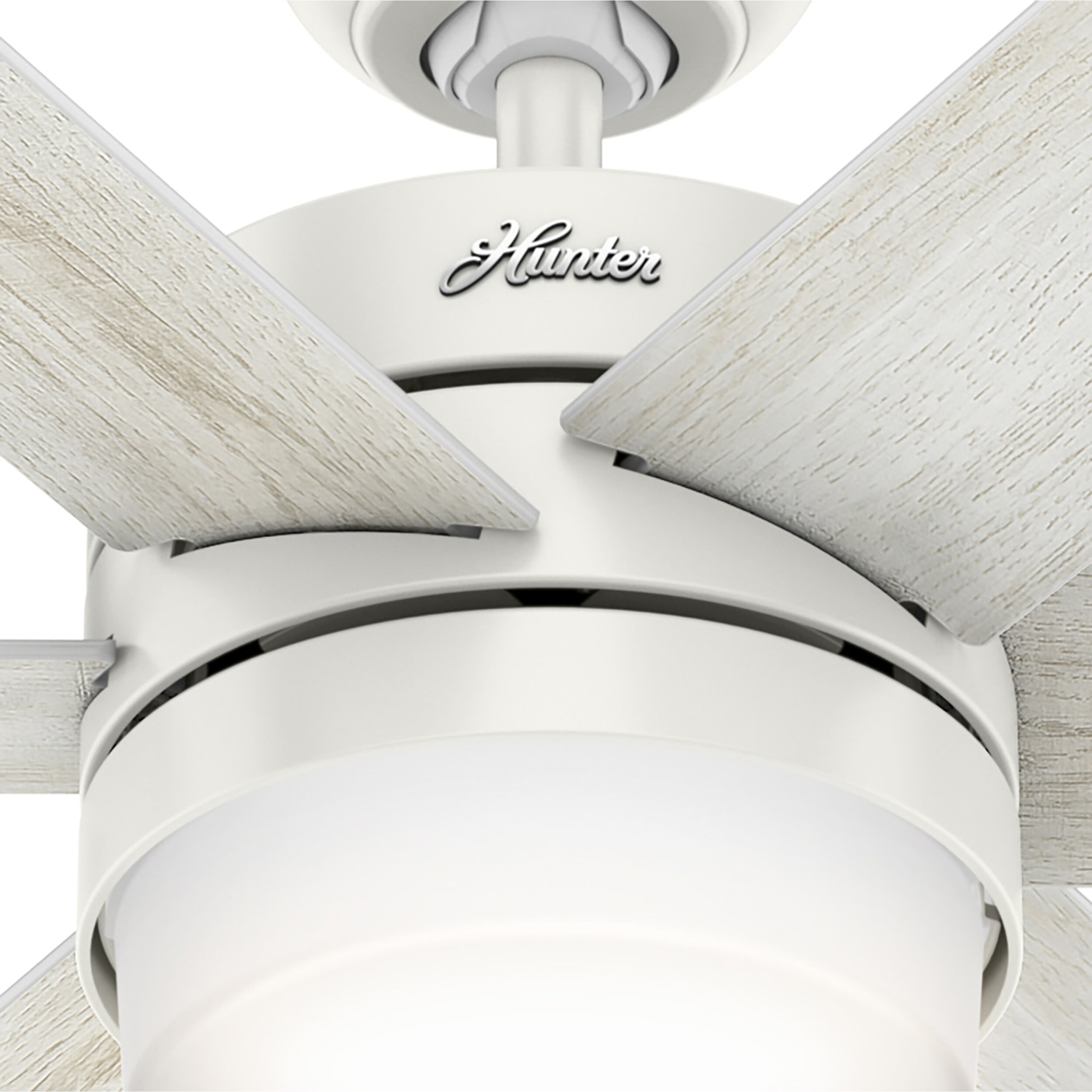 Hunter 50198 Ceiling-Fans - View #17