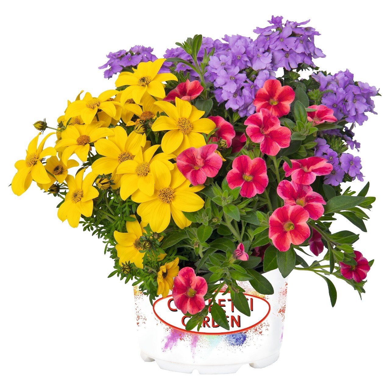 Ready Refill NURSERY Multicolor Mixed Annuals in 1.5 Gallon(s) Pot 4 -Pack