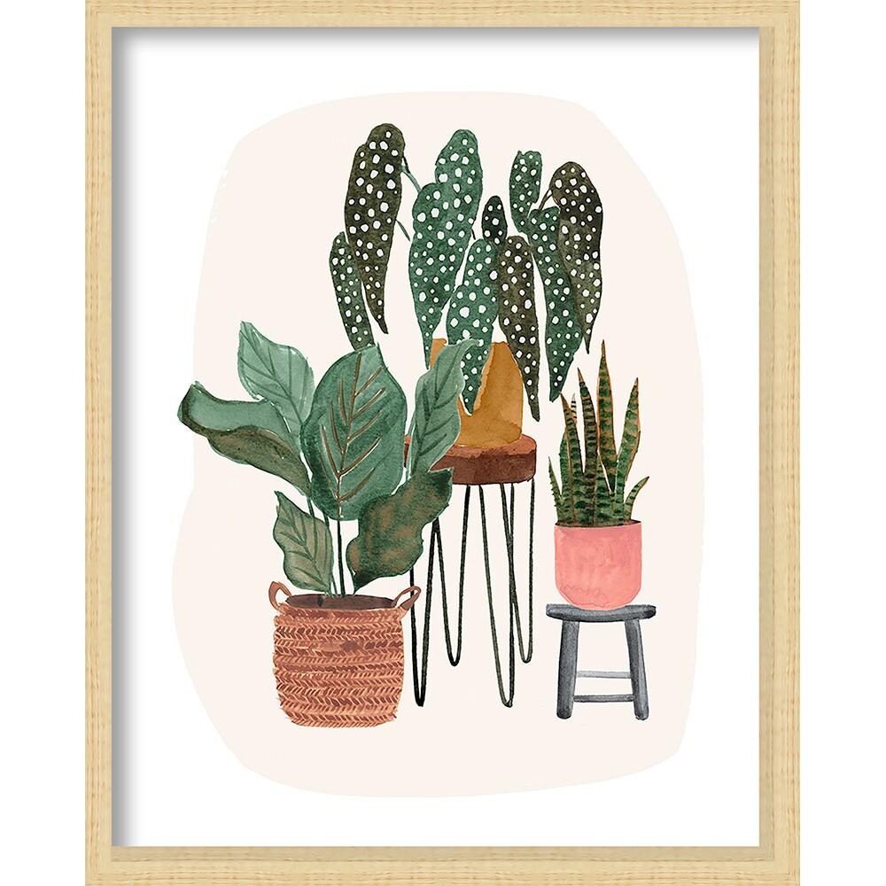Origin 21 36427 Urban Jungle Art Framed 20-Inches H x 16-Inches W Botanical Glass Shadow box