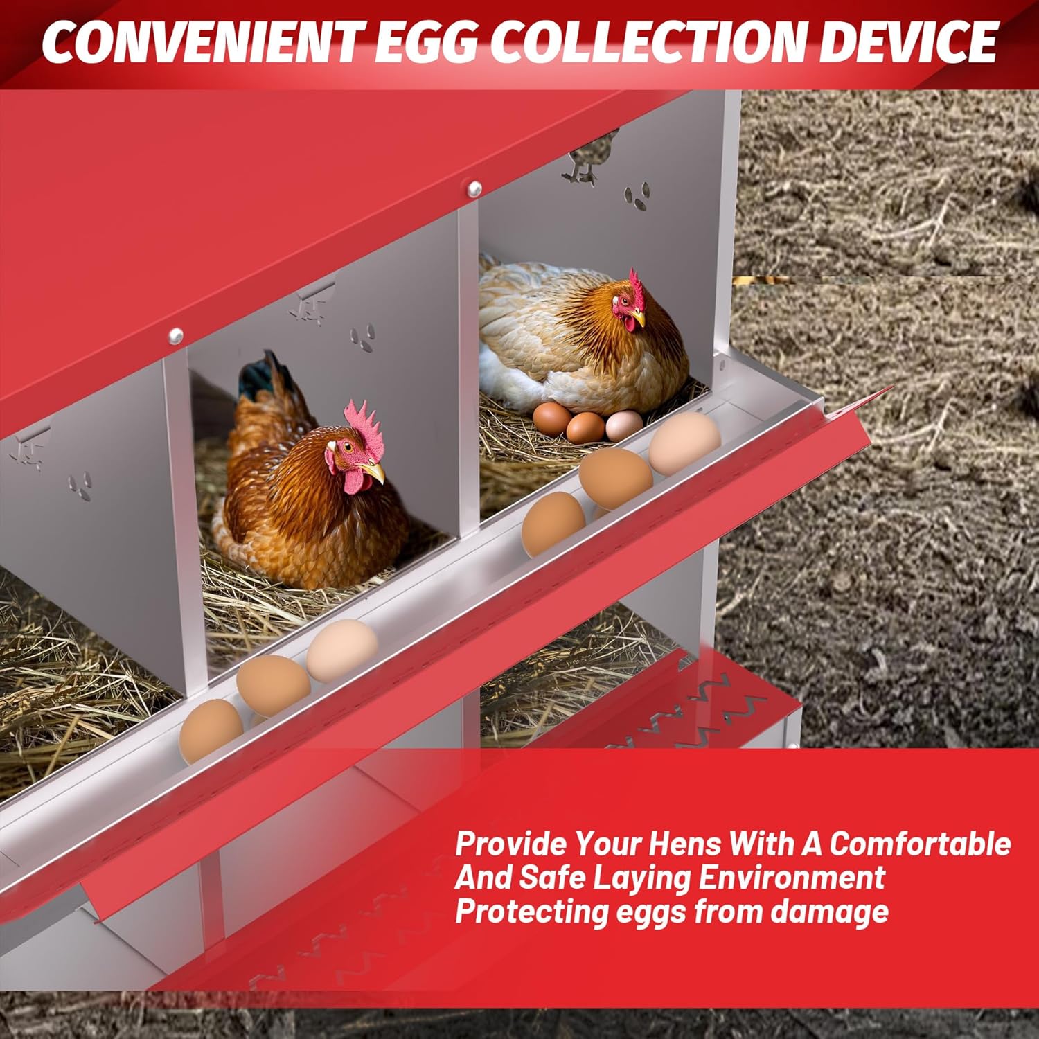 Qeetex GGL-PHO-348SAPGG Chicken-Coops-Rabbit-Hutches - View #7