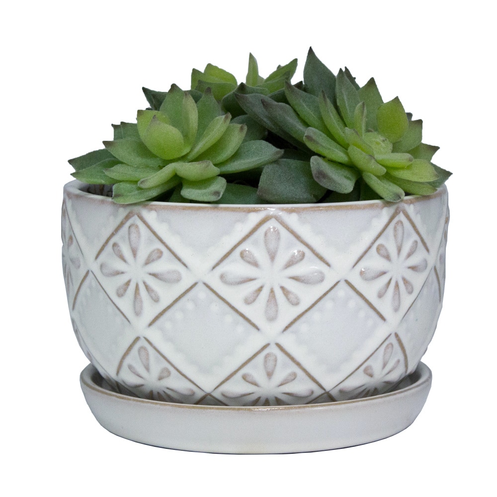 allen + roth PL00211S-060A Planter-Window-Box - View #6