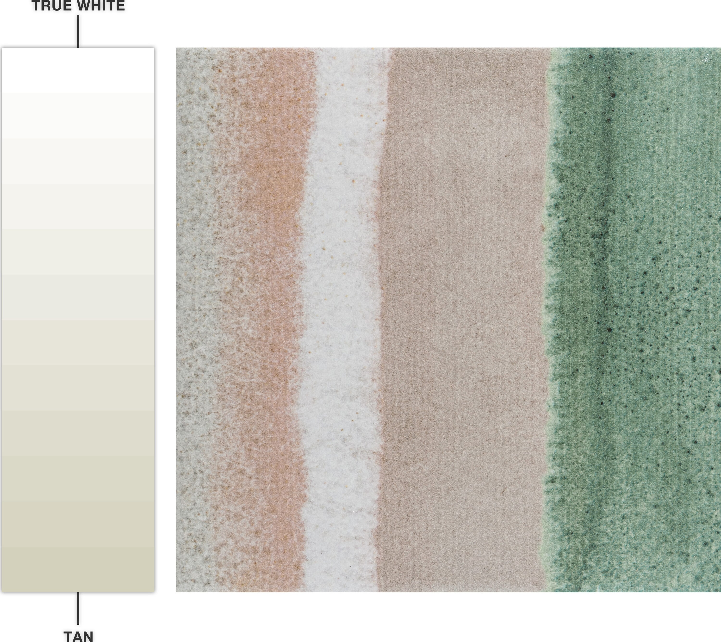 Coastal Breeze 6" x 6" Porcelain Stone Look Tile in Taupe/Green