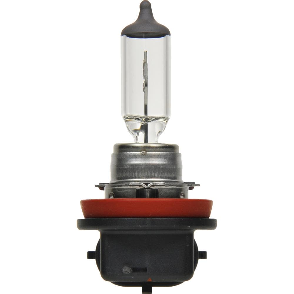 SYLVANIA H7 Basic Halogen Forward Lighting Bulb, White, 2 Pack in the  Headlight Bulbs department at